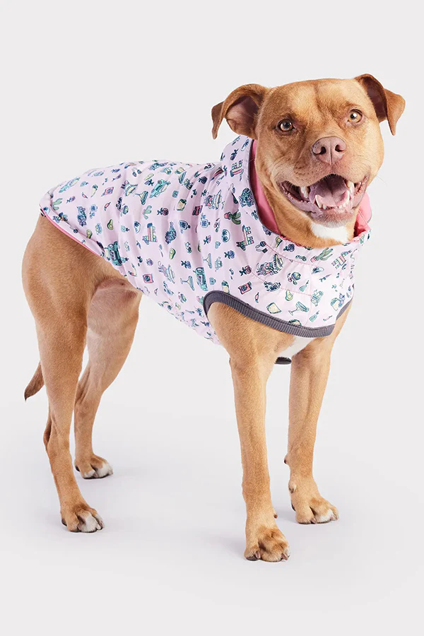 GF Pet Reversible Pink Fiesta Raincoat - Image 3
