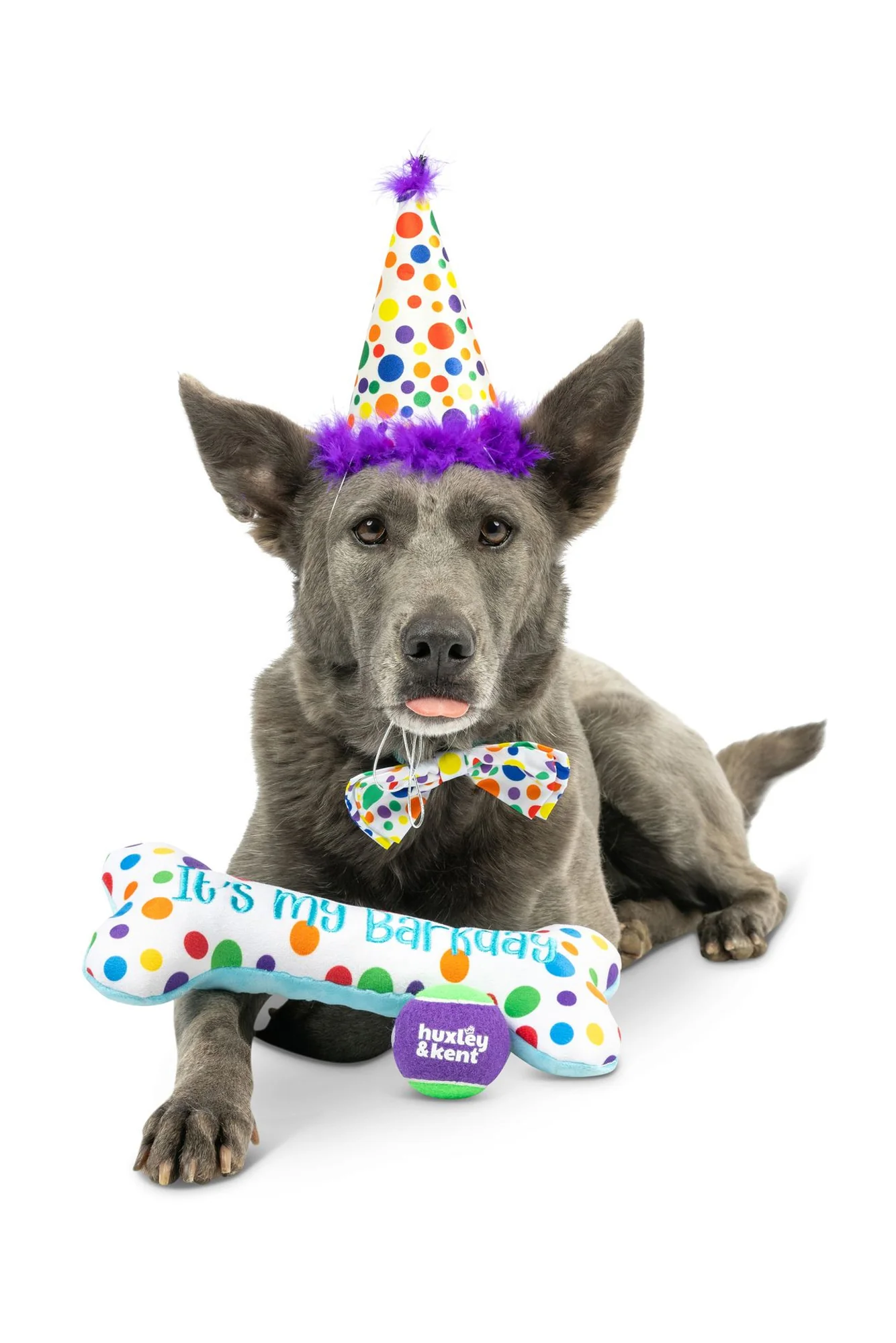 Huxley and Kent Happy Barkday Celebration Box - Image 4