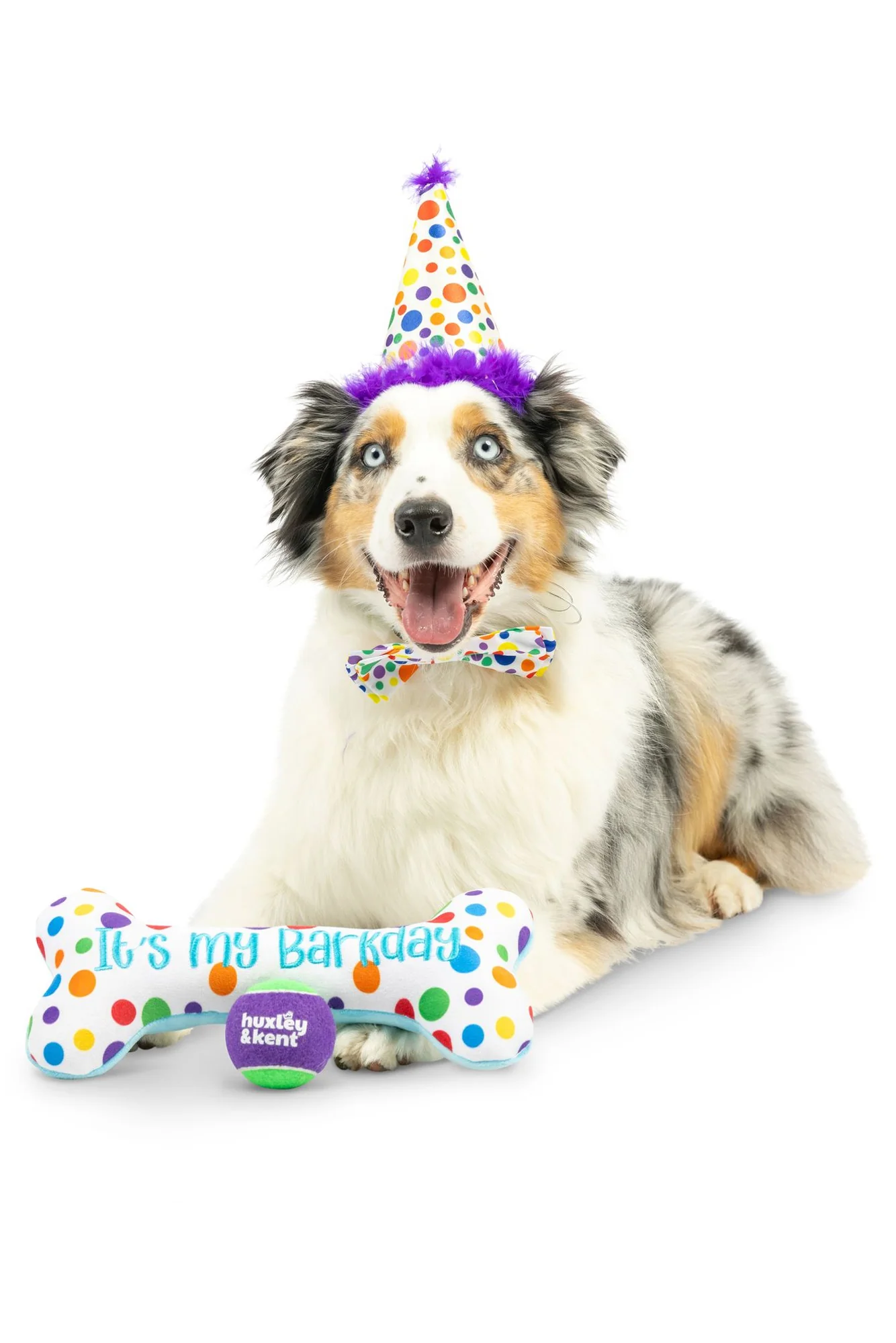 Huxley and Kent Happy Barkday Celebration Box - Image 5