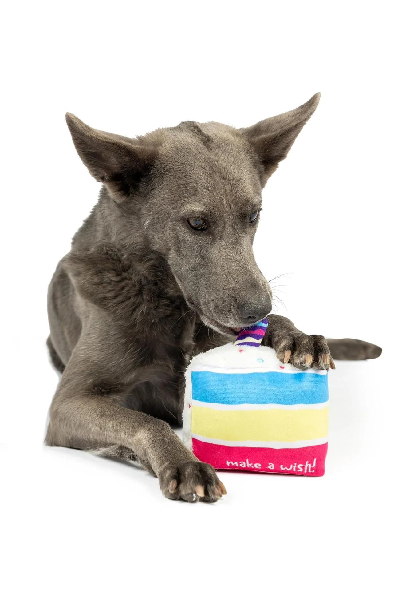 Huxley and Kent Make A Wish Plush Dog Toy - Image 2