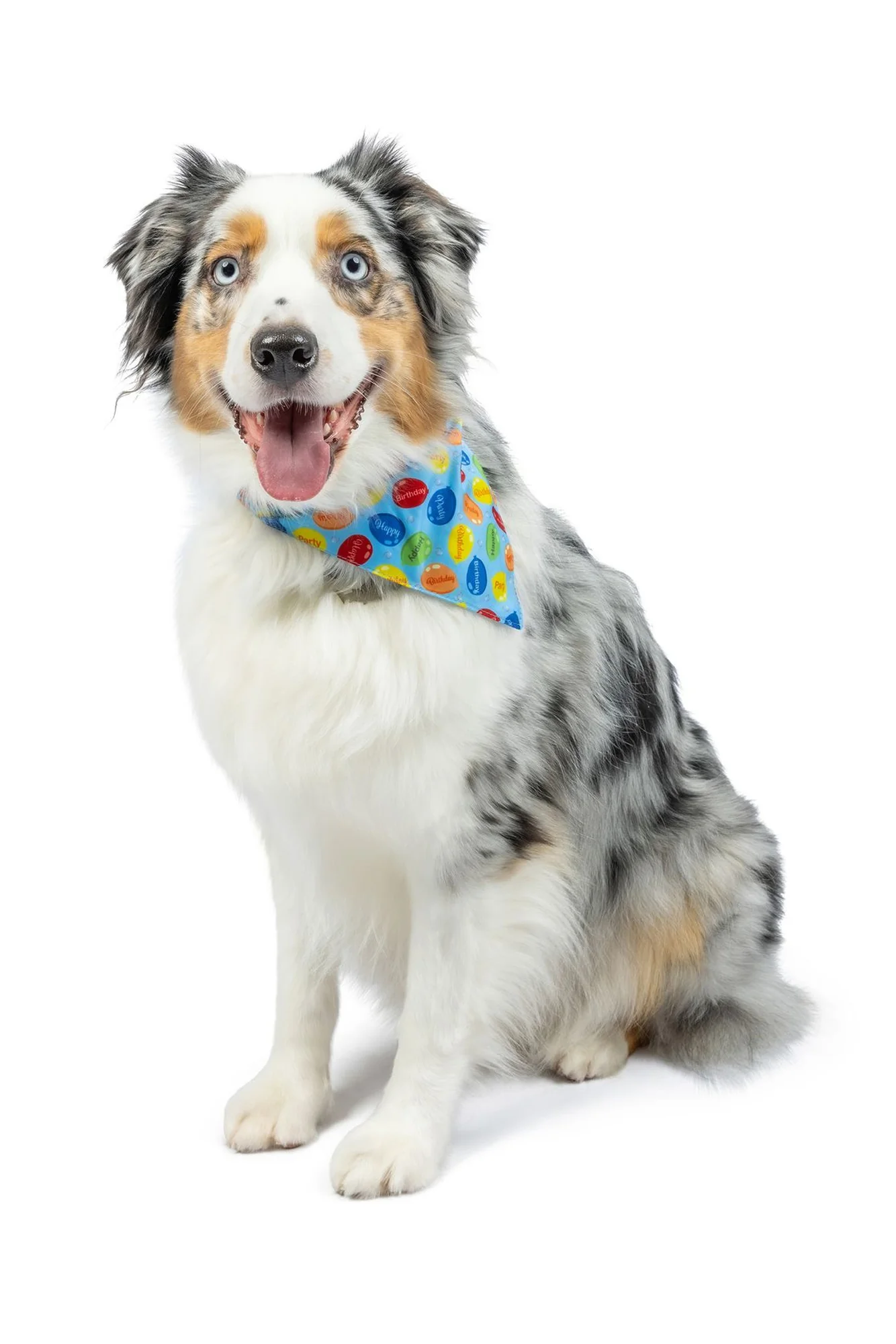 Huxley and Kent Party Time Blue Bandana - Image 3