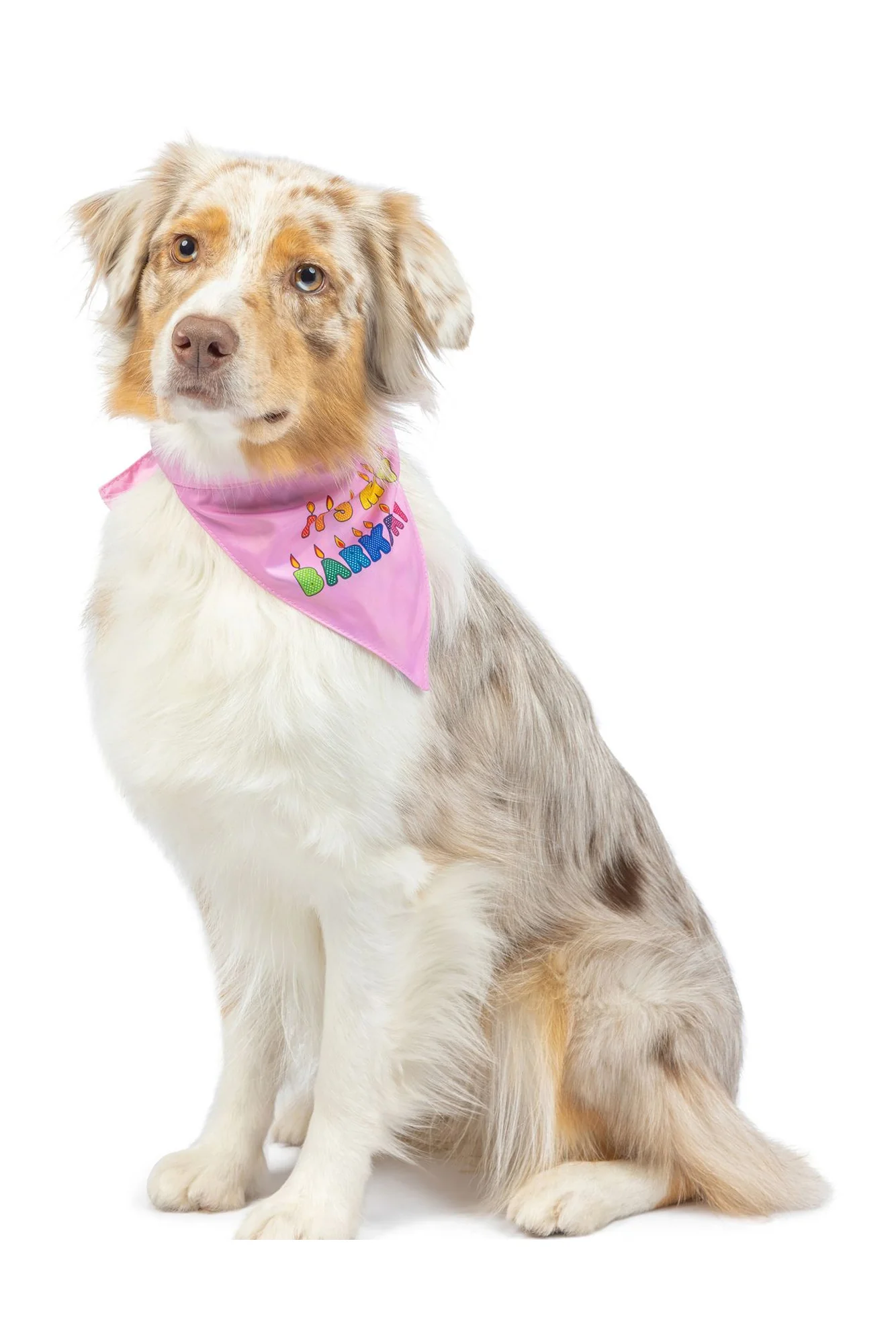 Huxley and Kent Party Time Pink Bandana - Image 3