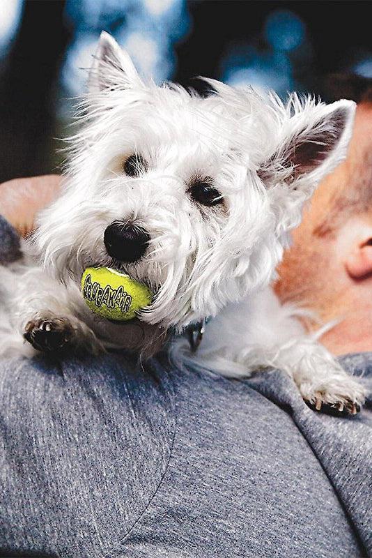 Kong SqueakAir Tennis Ball Dog Toys, 3 Pack - Image 3