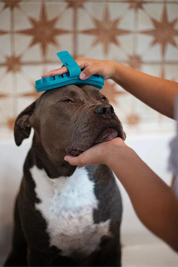 Messy Mutts Dual Sided Silicone Grooming Brush - Image 4