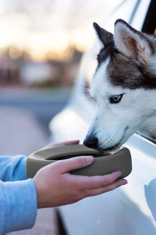 Messy Mutts Silicone Grey Non Spill Bowl - Image 4