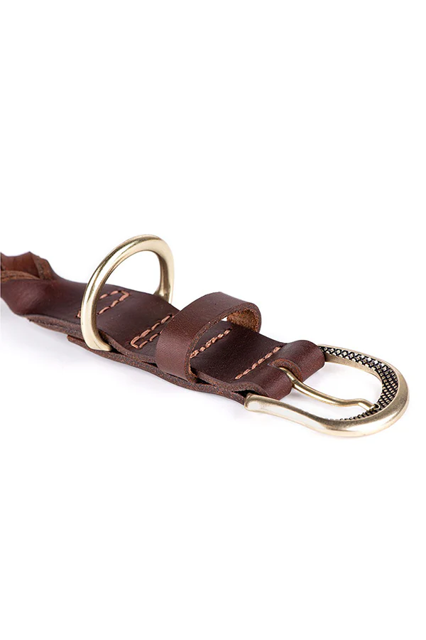 My Family Ascot Brown Leather Dog Collar - Image 2