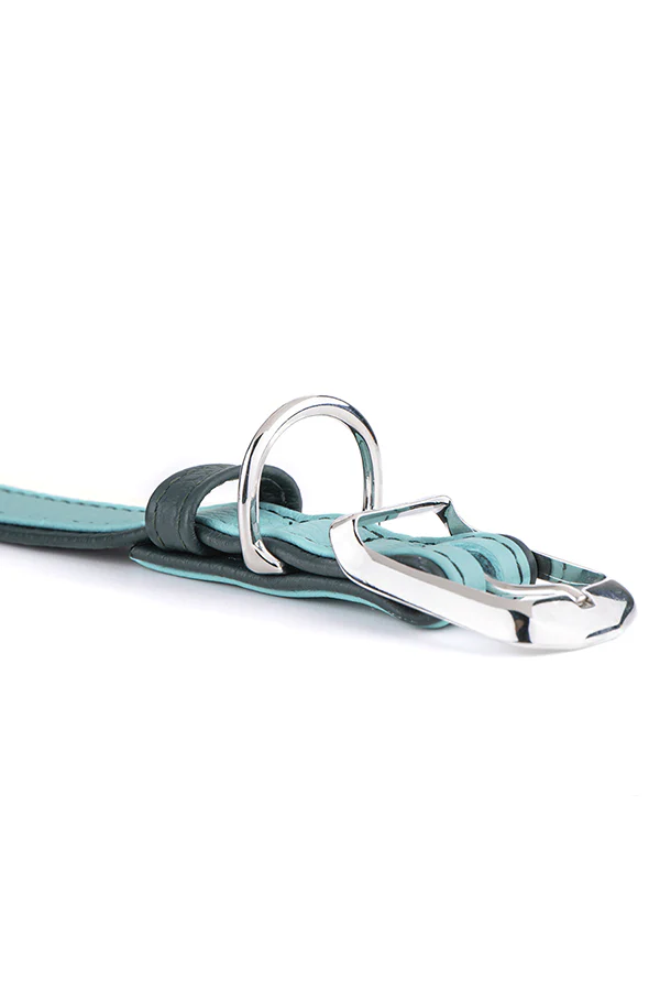 My Family Firenze Aqua Leather Dog Collar - Image 2