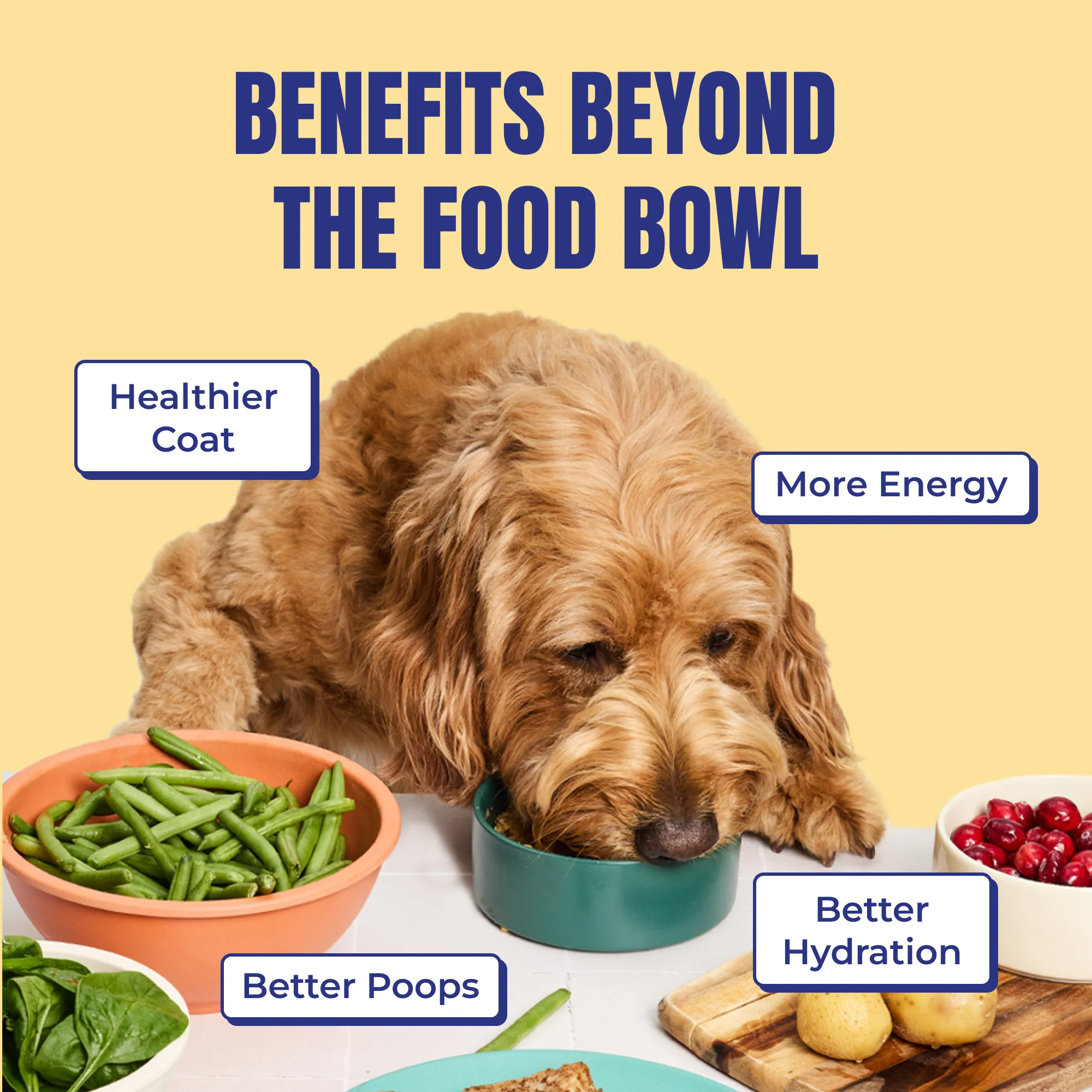 My Perfect Pet Low Glycemic Charlie's Chicken Gently Cooked Dog Food - Image 5