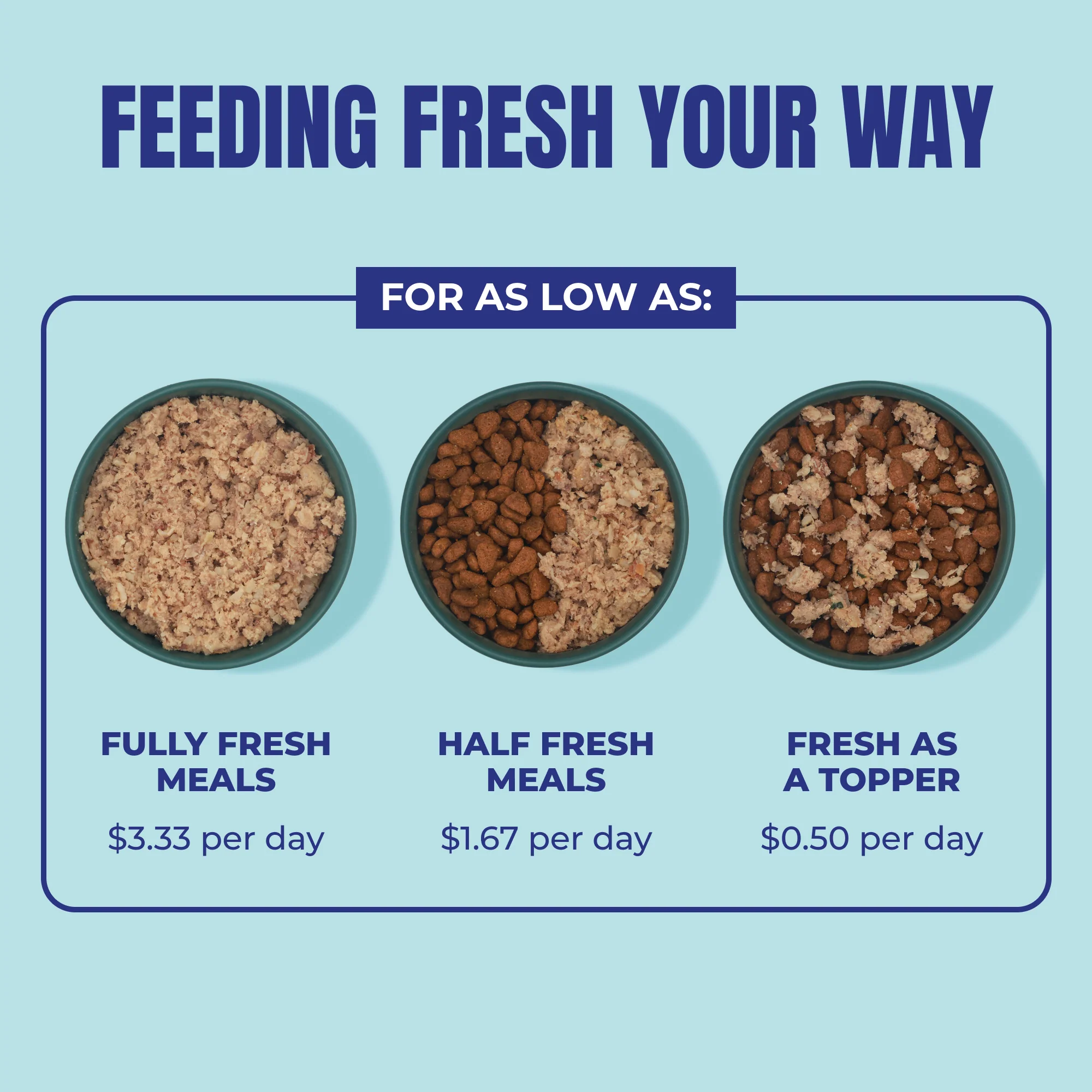 My Perfect Pet Low Phosphorus Chicken Gently Cooked Cat Food - Image 7