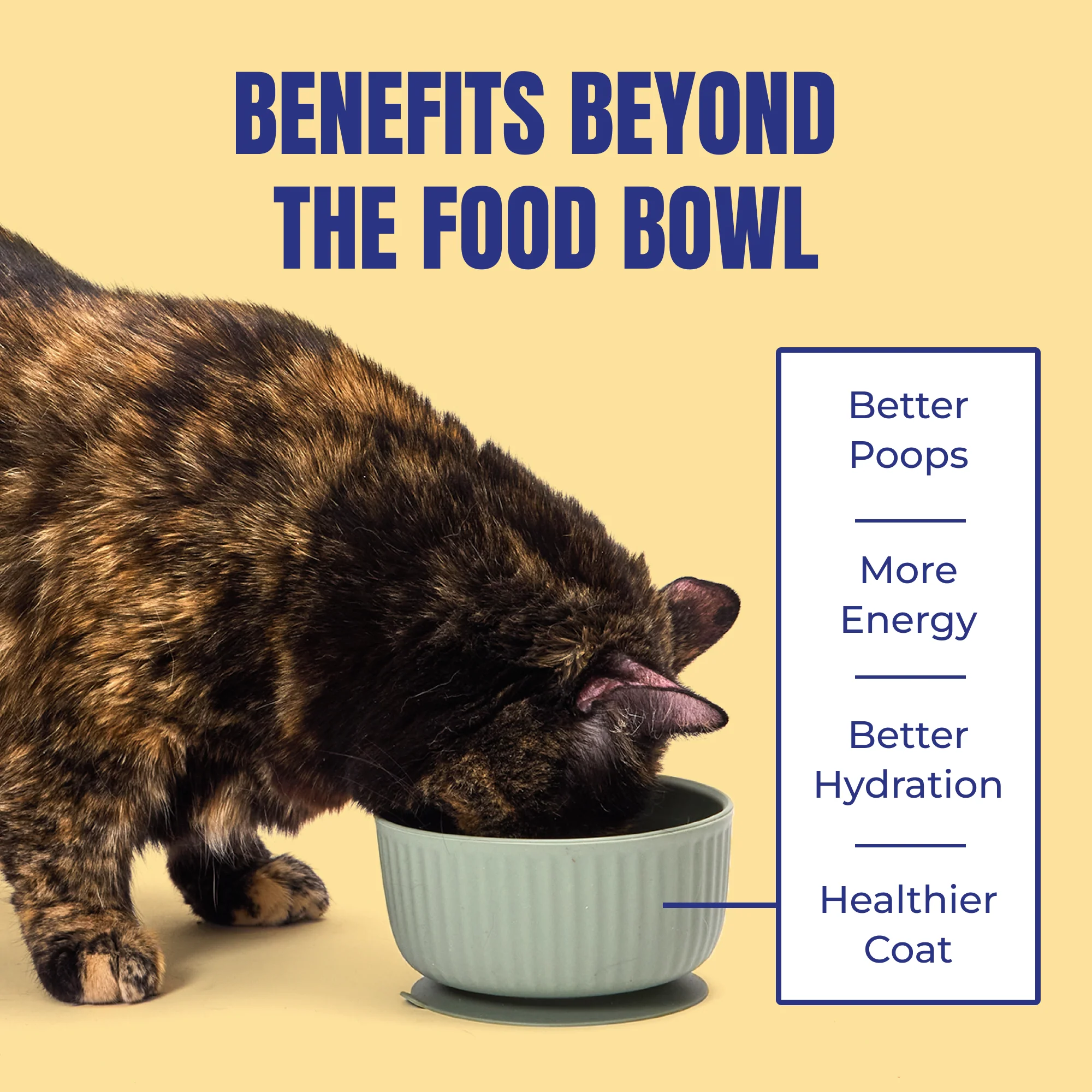 My Perfect Pet Toby's Turkey Gently Cooked Cat Food - Image 5