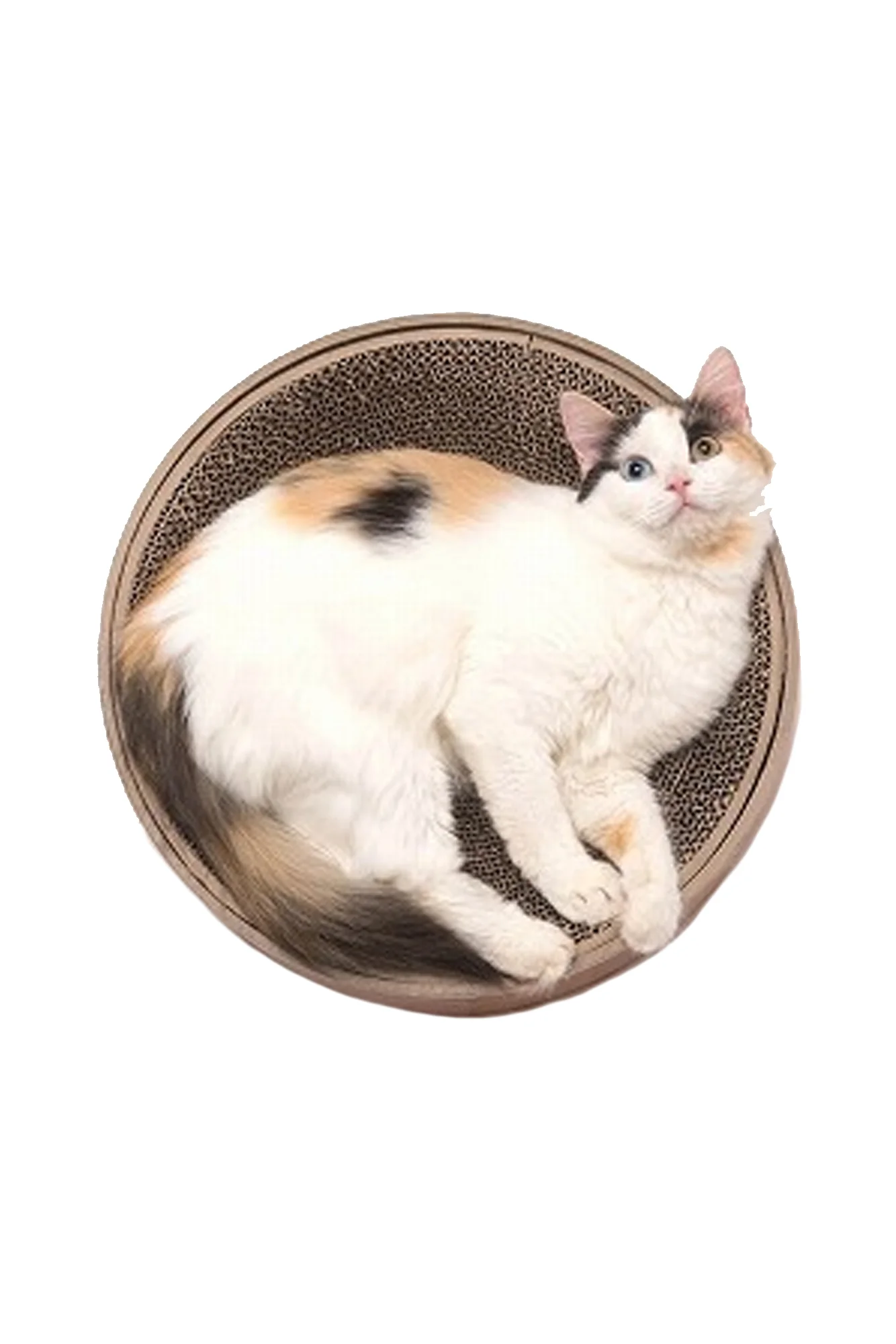 Necoichi Cozycat Cat Scratcher Bowl - Image 3