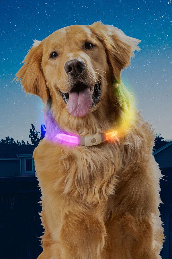 Nite Ize NiteHowl Max Rechargeable Disc-O Select LED Safety Necklace - Image 2