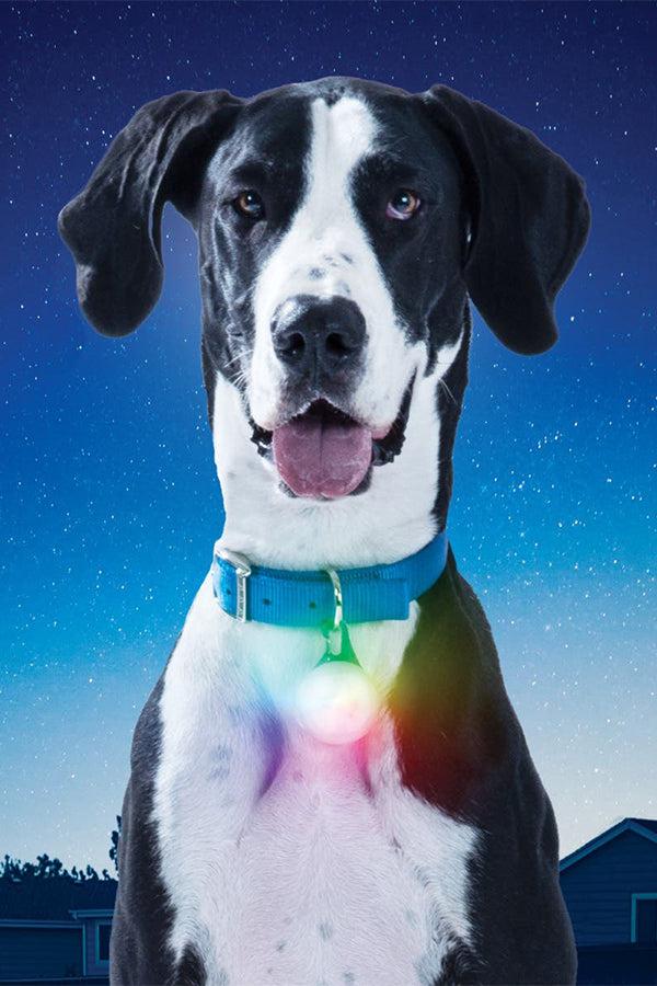 Nite Ize SpotLit XL Rechargeable Disc-O Select LED Collar Light - Image 4