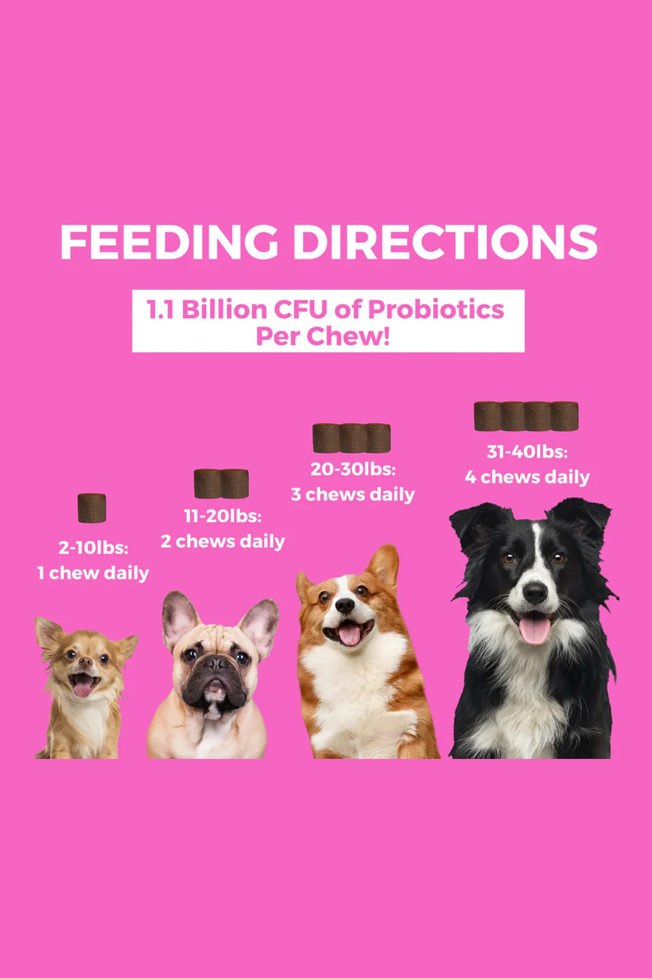 Nootie Progility Pre and Probiotic Mini Soft Chews Dog Supplement - Image 2