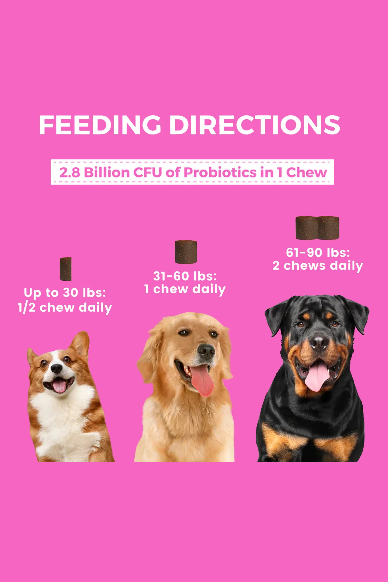 Nootie Progility Pre and Probiotic Soft Chews Dog Supplement - Image 2