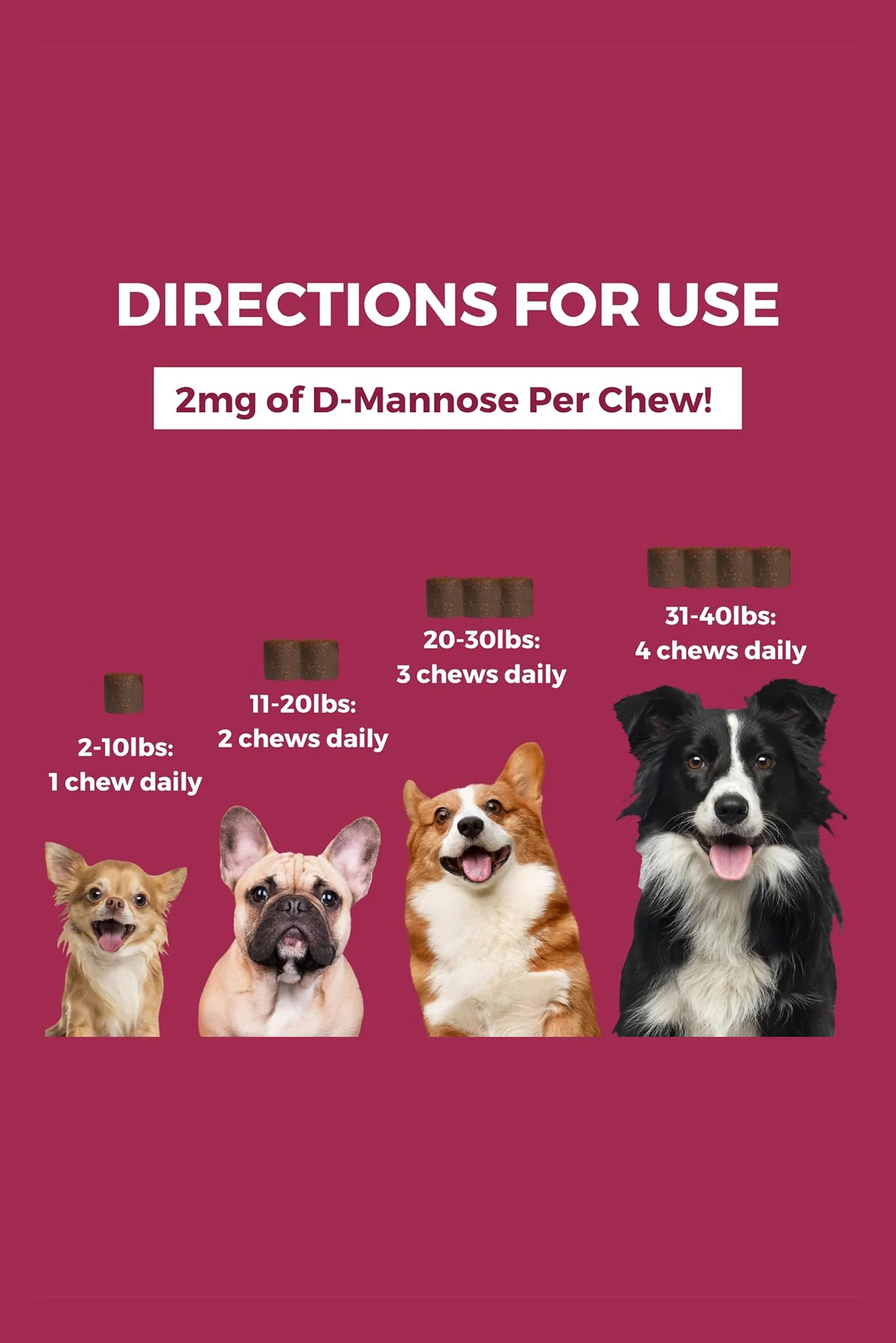 Nootie Progility Urinary Support Mini Soft Chews Dog Supplement - Image 2