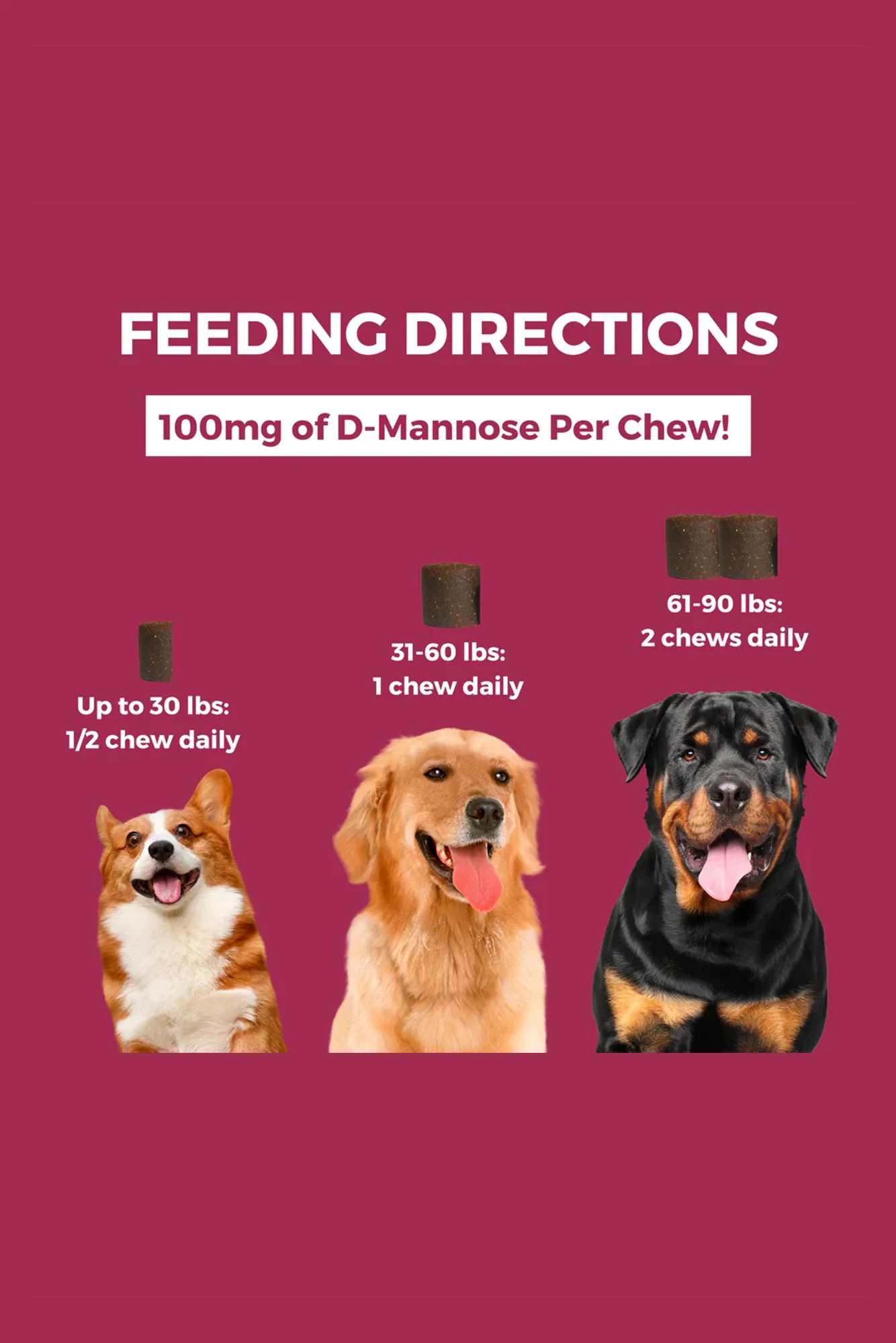 Nootie Progility Urinary Support Soft Chews Dog Supplement - Image 2
