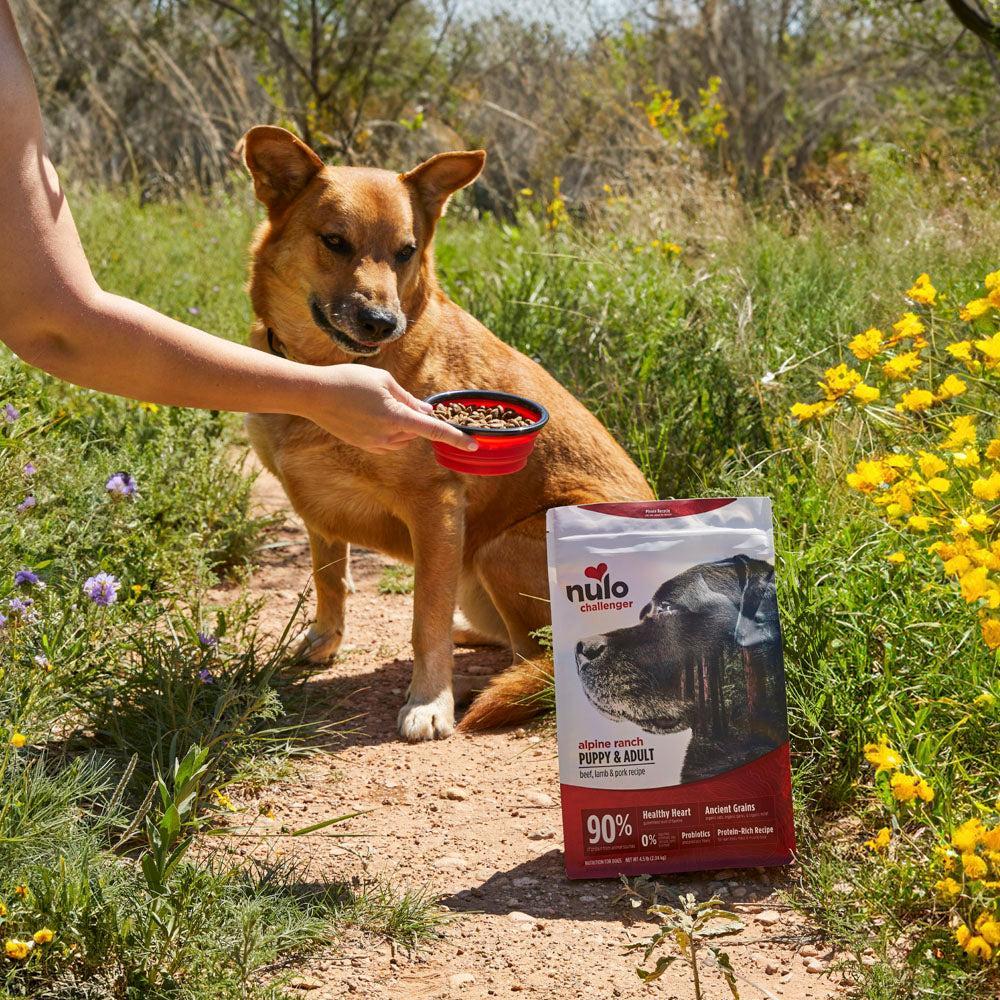 Nulo Challenger Alpine Ranch Puppy and Adult Dry Dog Food - Image 4