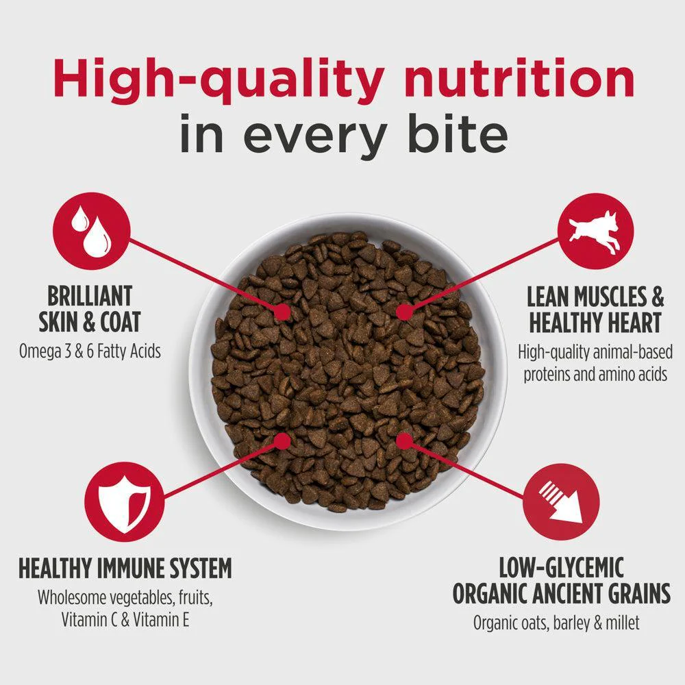 Nulo Challenger Northern Catch Puppy and Adult Dry Dog Food - Image 3