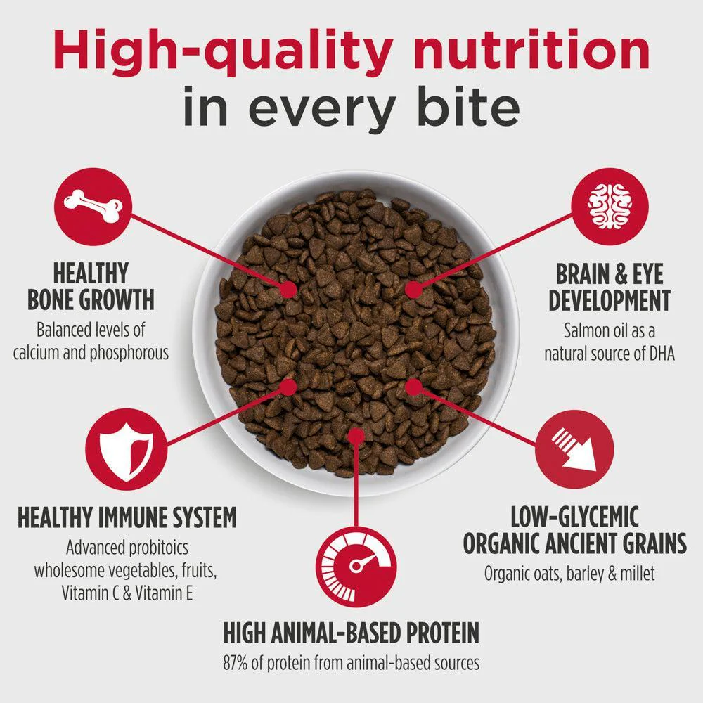 Nulo Challenger Alpine Ranch Large Breed Puppy Dry Dog Food - Image 4