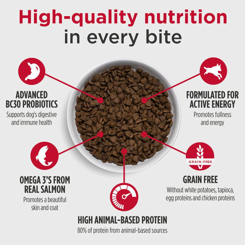 Nulo Freestyle Salmon and Peas Dry Dog Food - Image 4