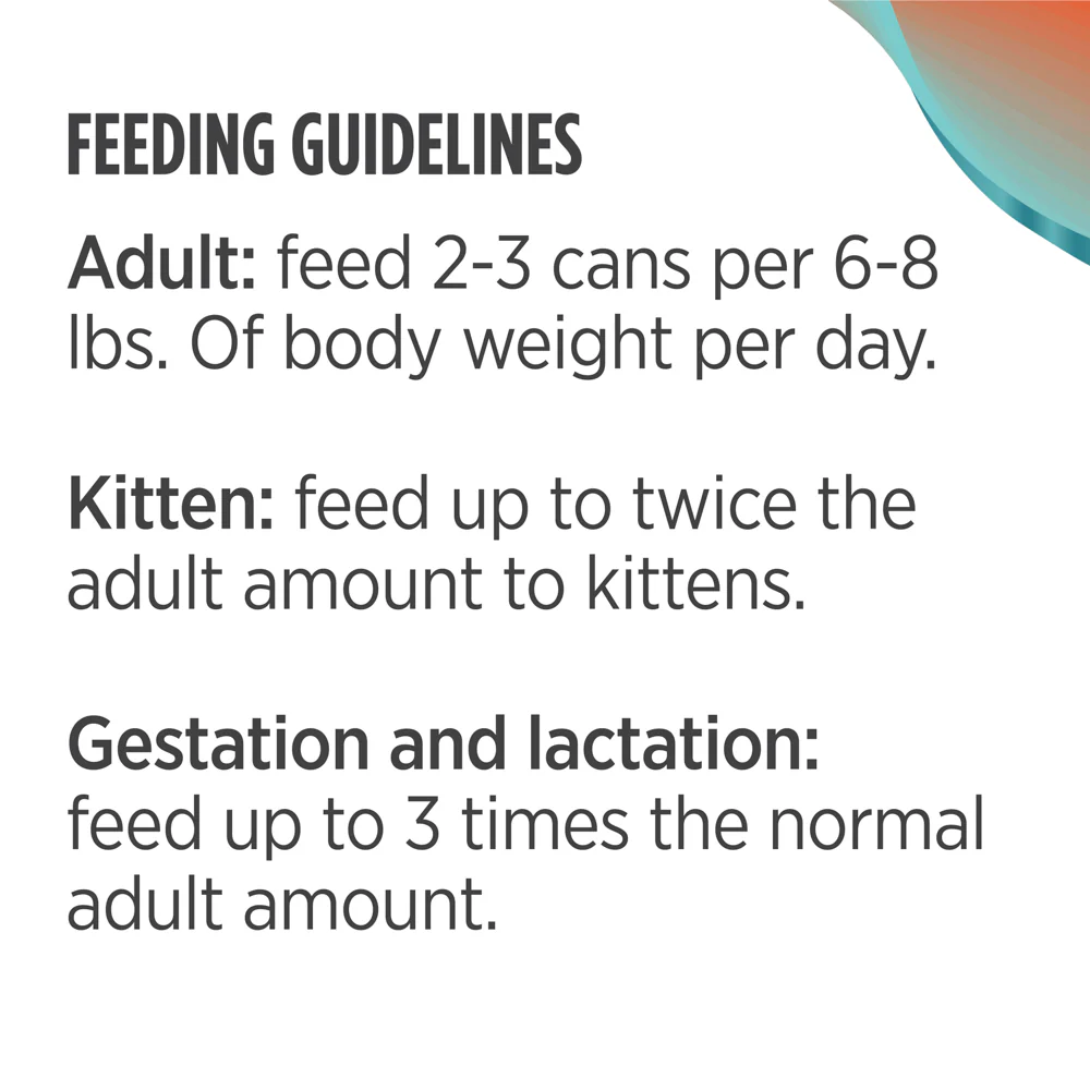 Nulo Minced Salmon and Turkey Wet Cat Food - Image 4