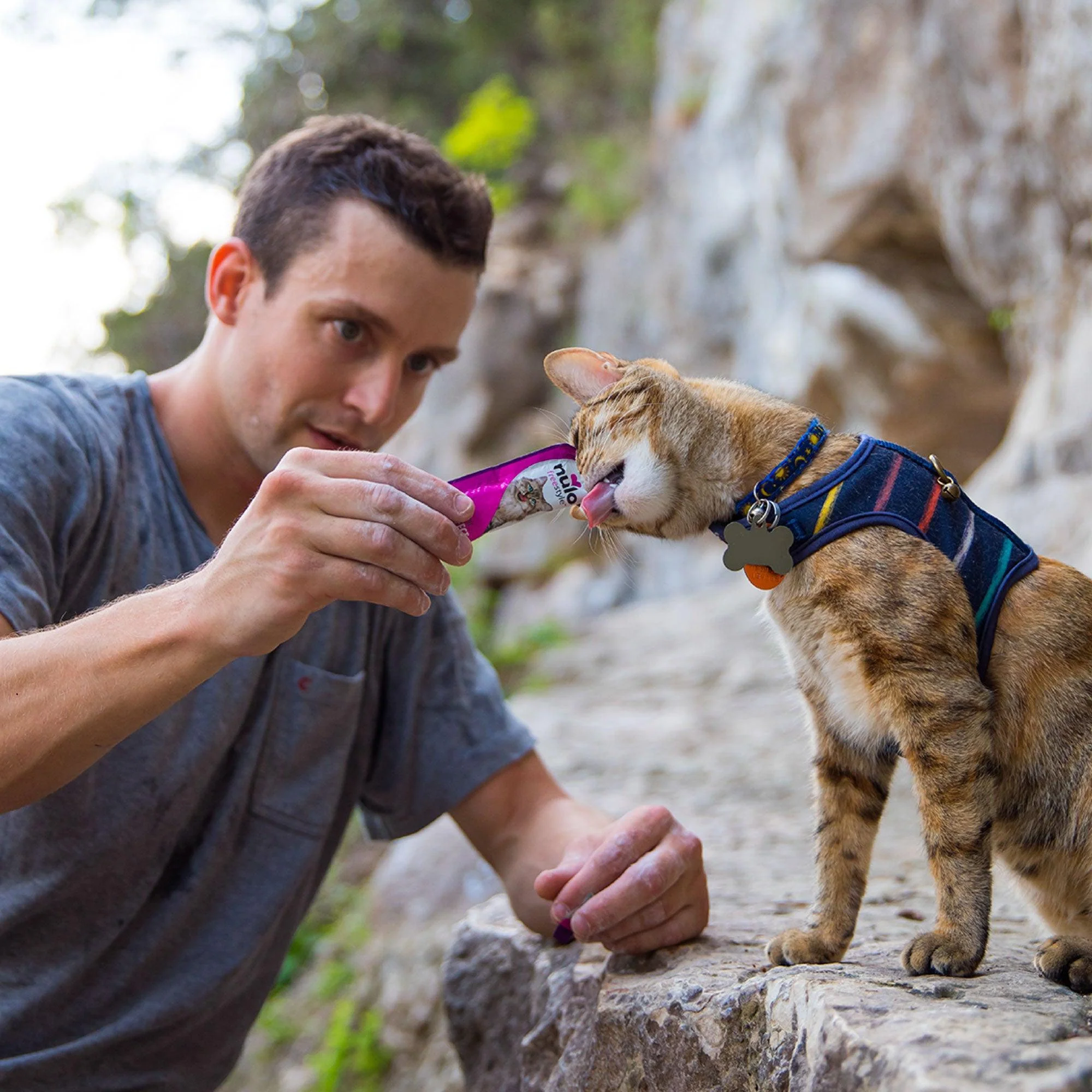 Nulo Freestyle Perfect Purees Tuna and Crab Cat Treats - Image 3