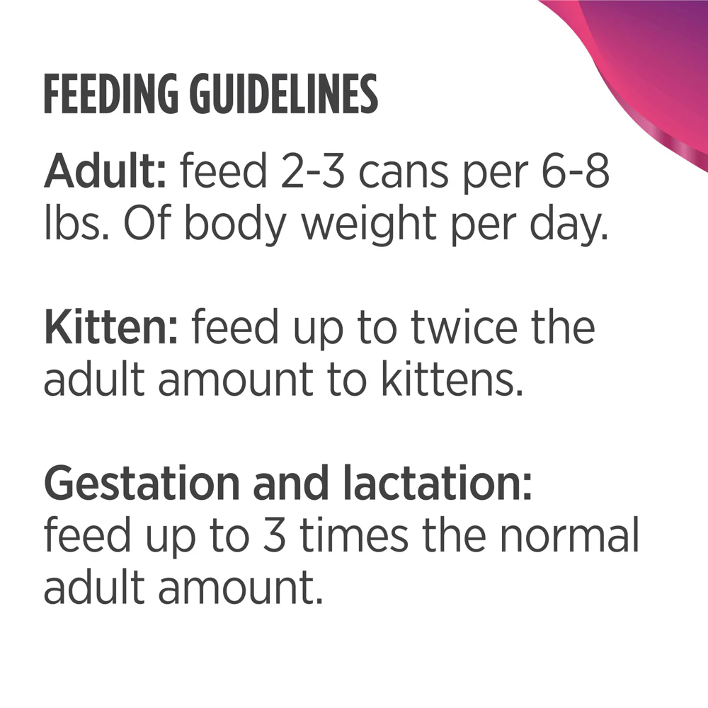 Nulo Shredded Beef and Rainbow Trout in Gravy Wet Cat Food - Image 3