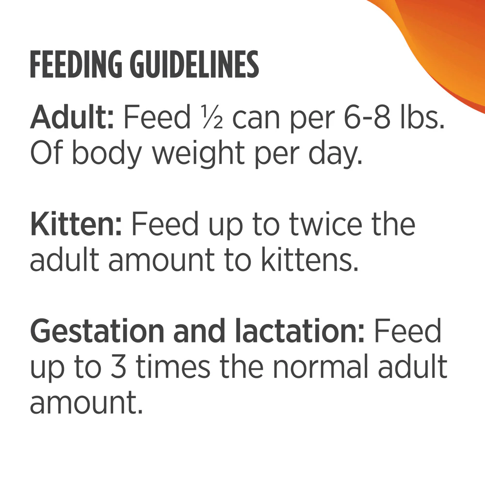 Nulo Freestyle Turkey and Chicken Pate Wet Cat Food - Image 7