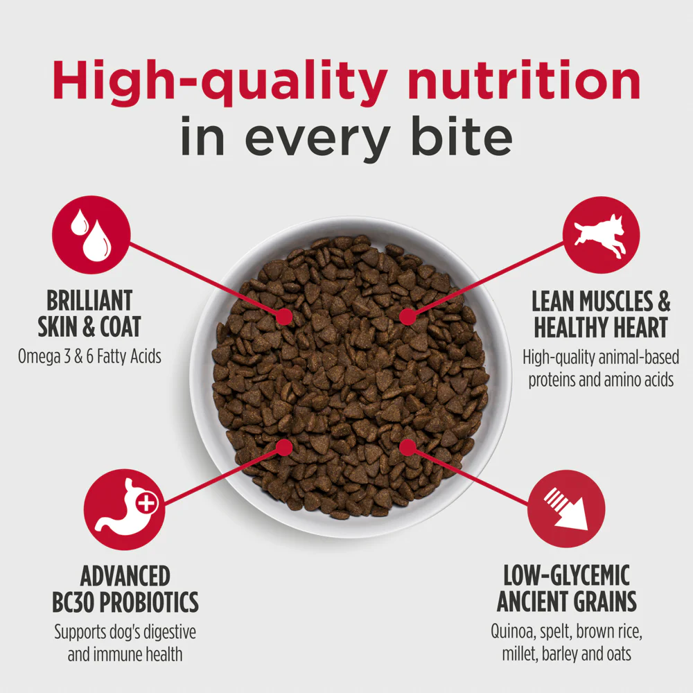 Nulo Frontrunner Beef, Barley, and Lamb Dry Dog Food - Image 4