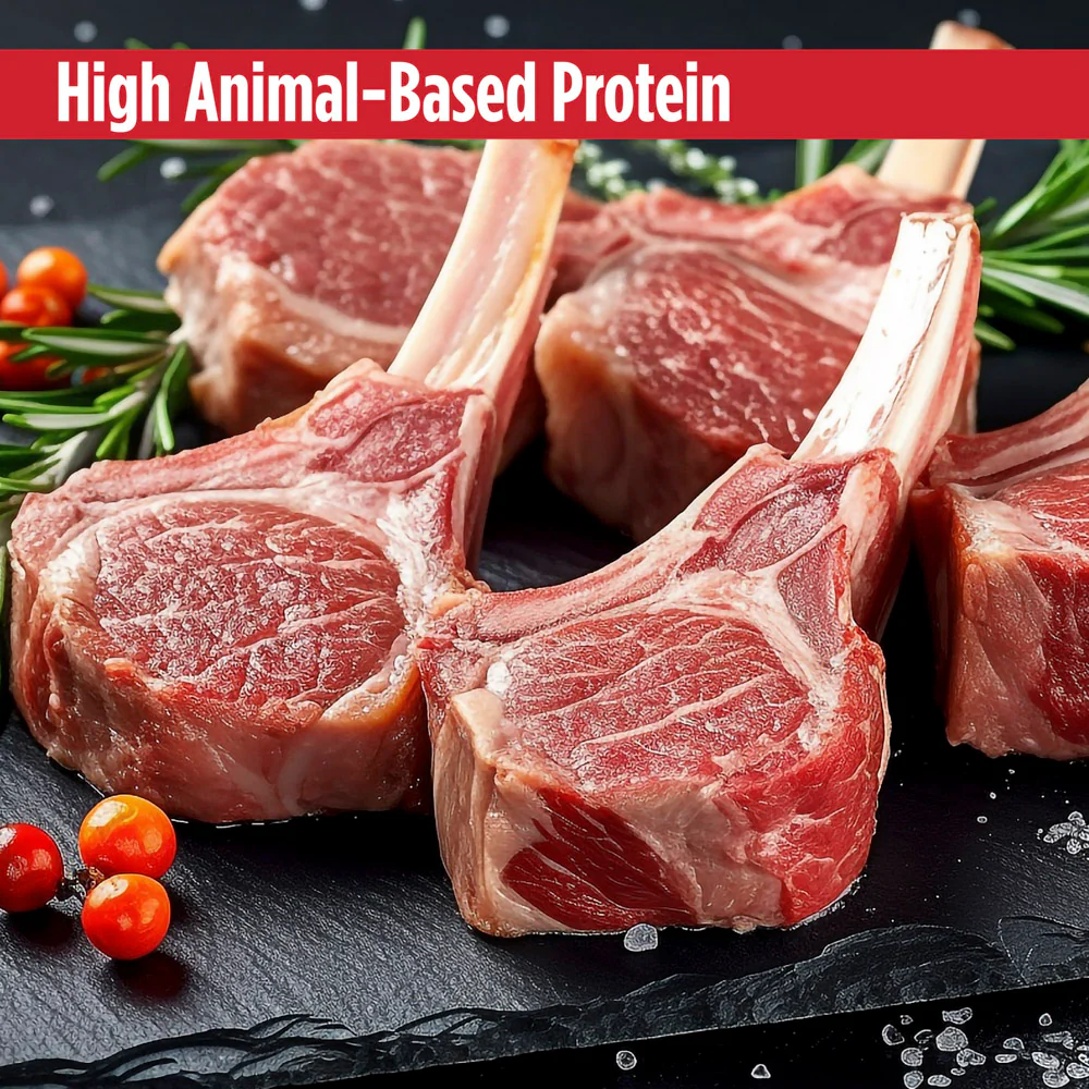 Nulo Shredded Chicken, Lamb, and Organ Meats Wet Cat and Kitten Food - Image 3