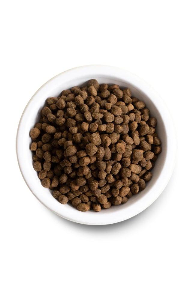 Open Farm Wild-Caught Salmon and Ancient Grains Dry Dog Food - Image 3