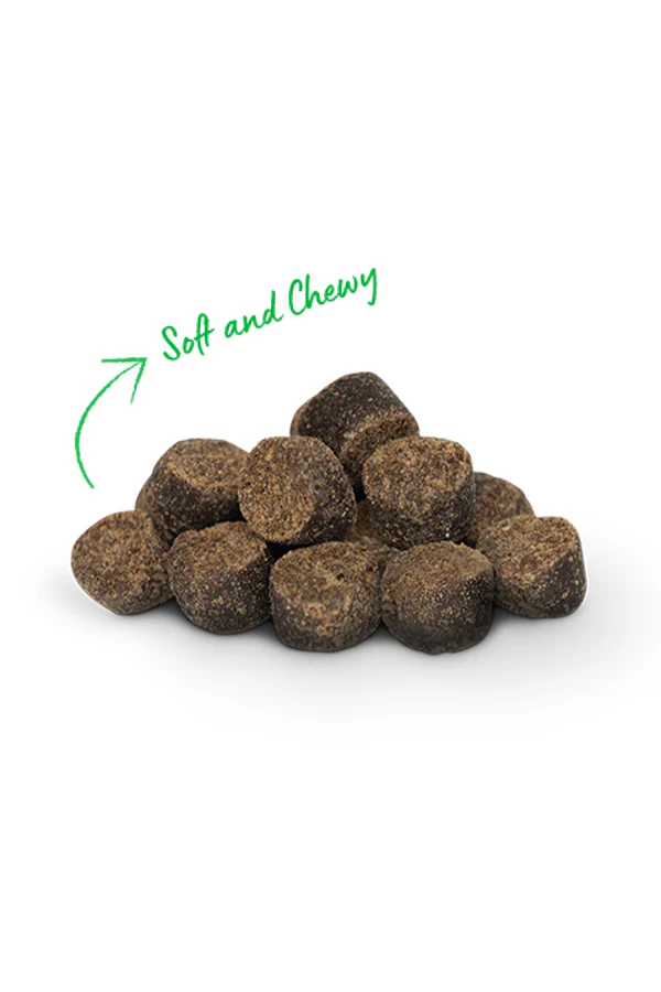 Open Farm Grass-Fed Beef Be Good Bites Soft and Chewy Dog Treats - Image 2