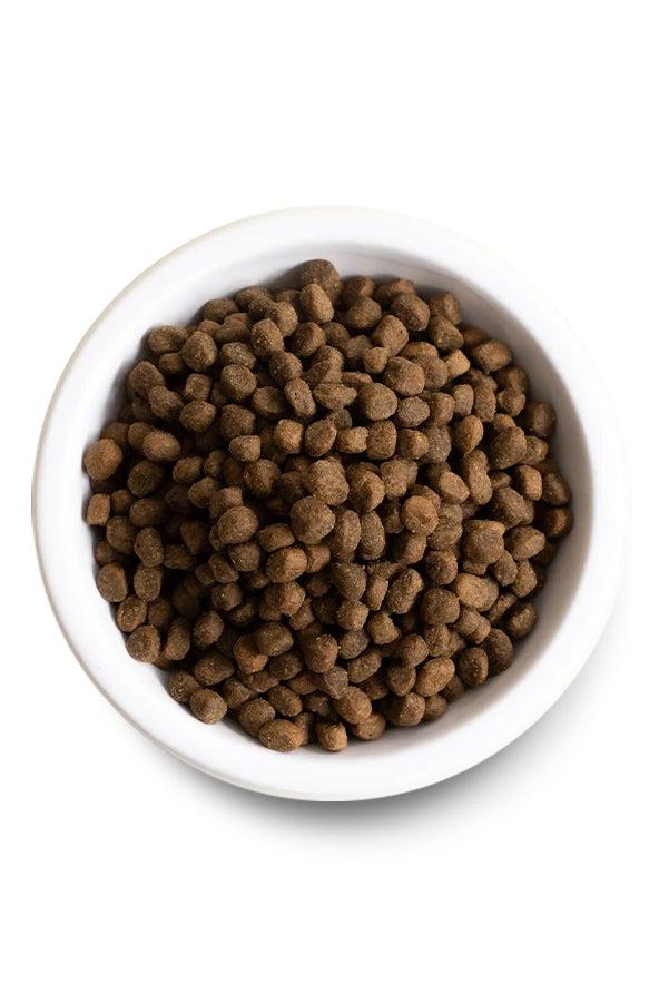 Open Farm Harvest Chicken and Ancient Grains Dry Dog Food - Image 3