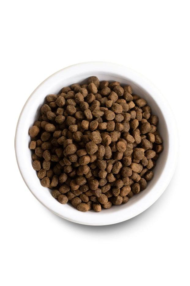 Open Farm Grass-Fed Beef and Ancient Grains Dry Dog Food - Image 3