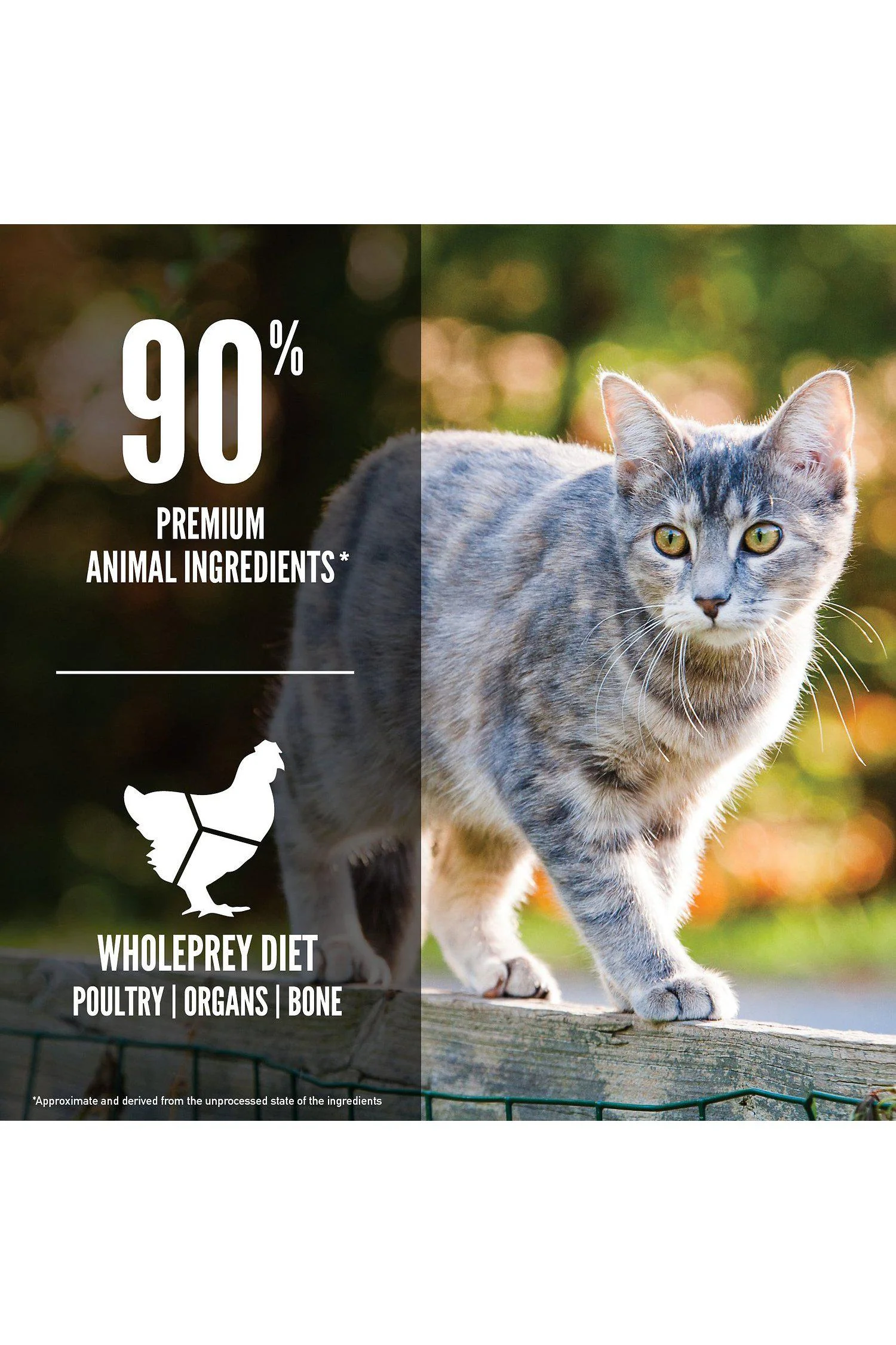 Orijen Original Dry Cat Food - Image 6
