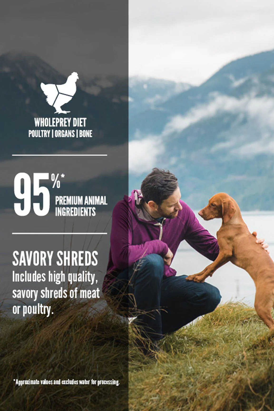 Orijen Chicken Stew Shredded Chicken and Eggs Wet Dog Food - Image 5