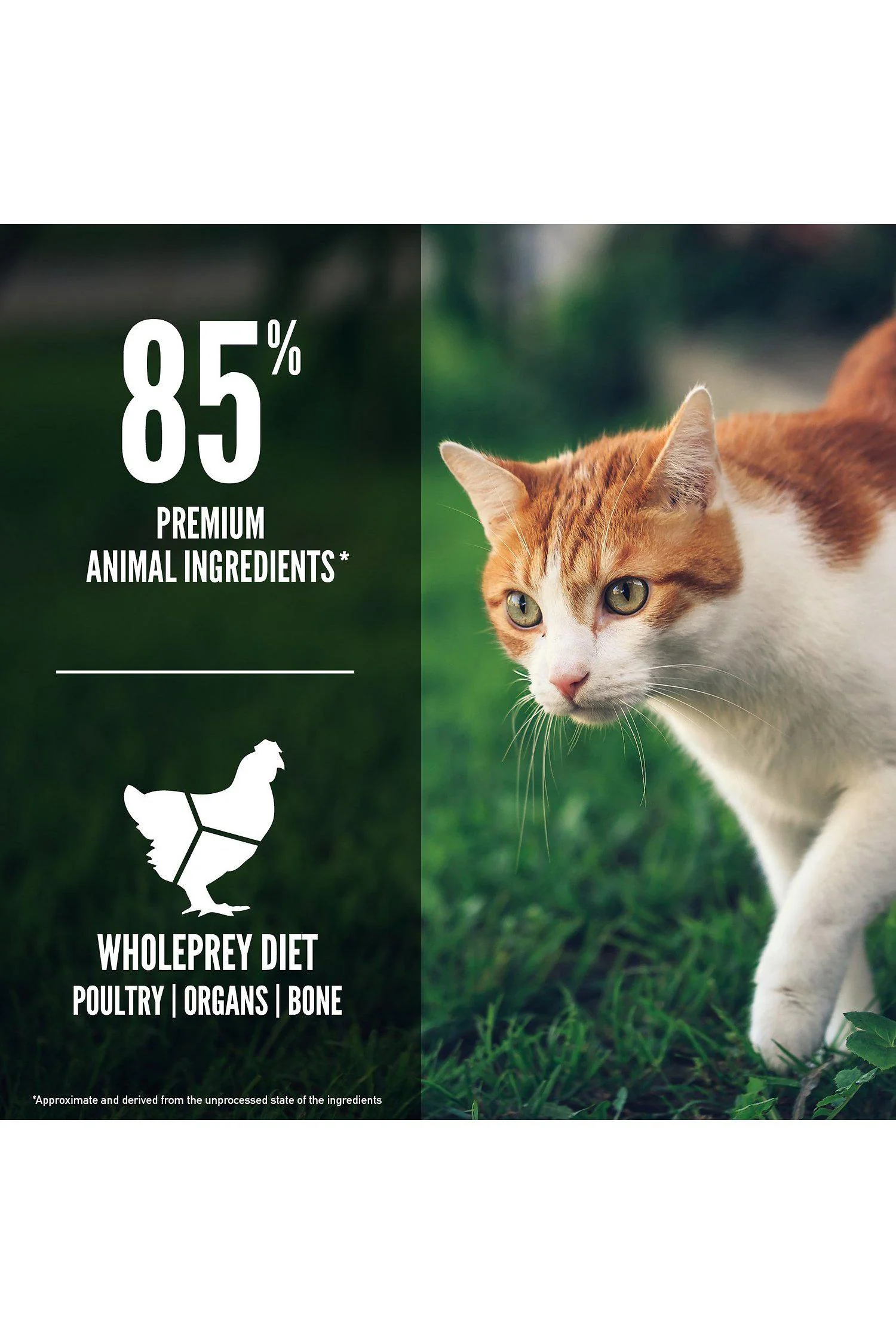 Orijen Fit and Trim Dry Cat Food - Image 6
