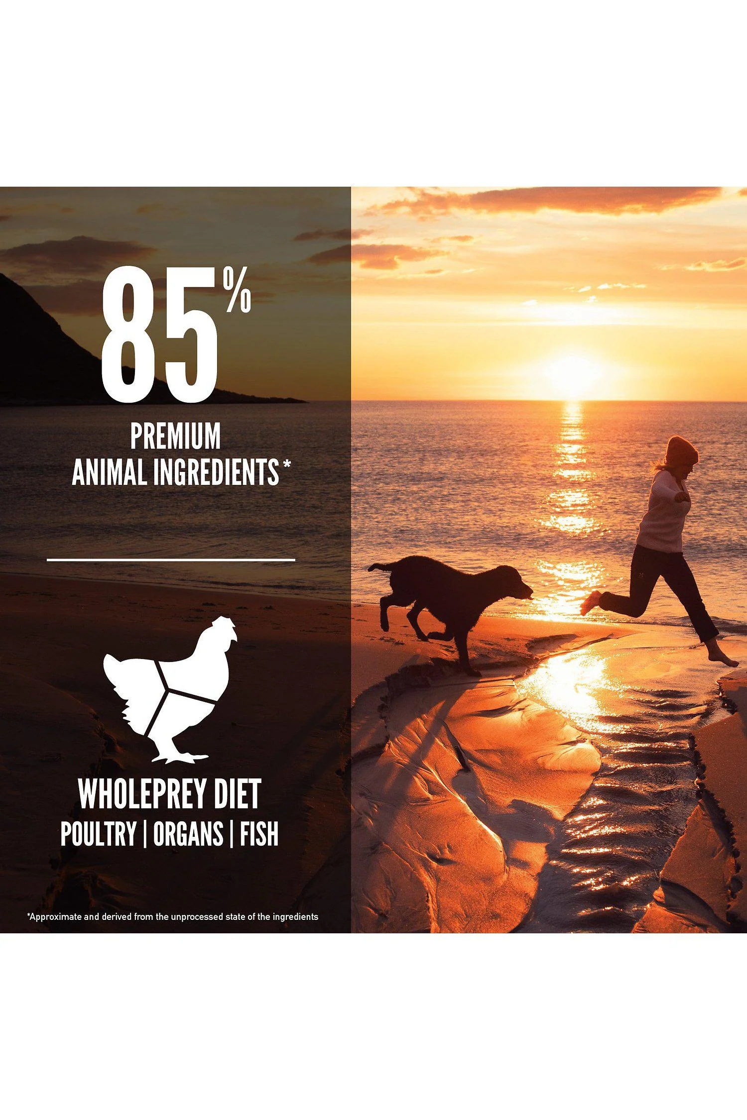Orijen Fit and Trim Dry Dog Food - Image 6