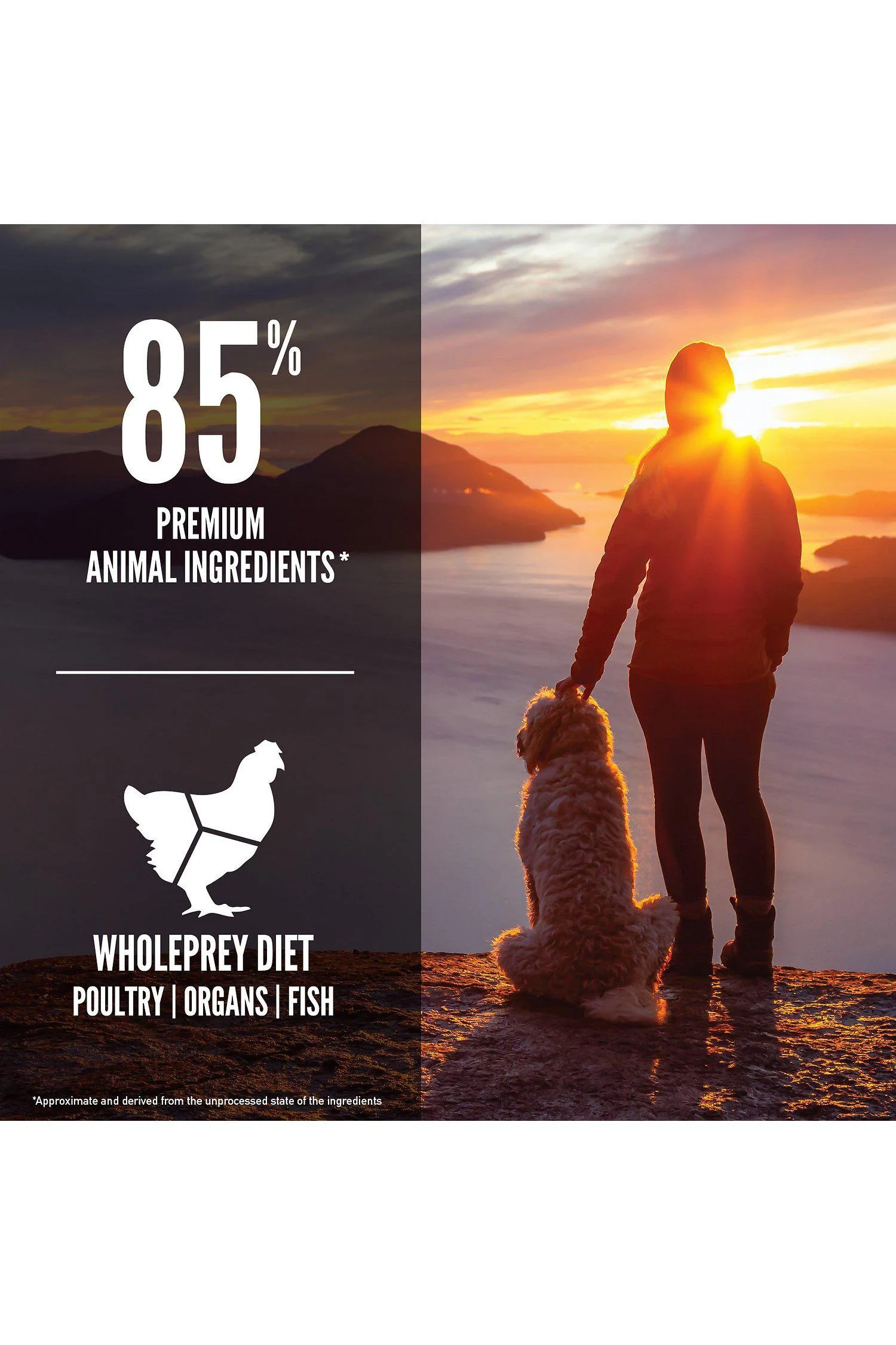 Orijen Senior Dry Dog Food - Image 6