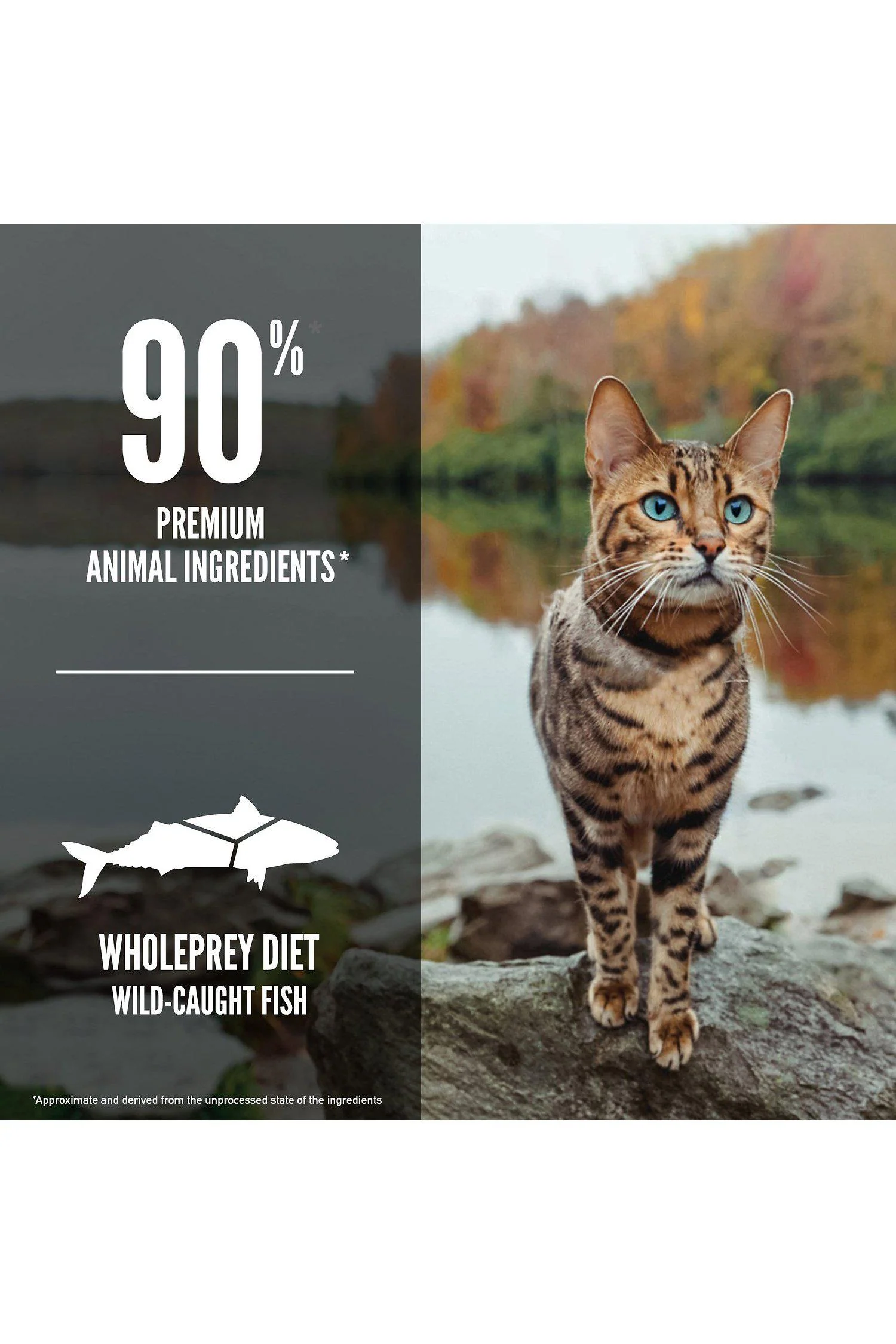 Orijen Six Fish Dry Cat Food - Image 6