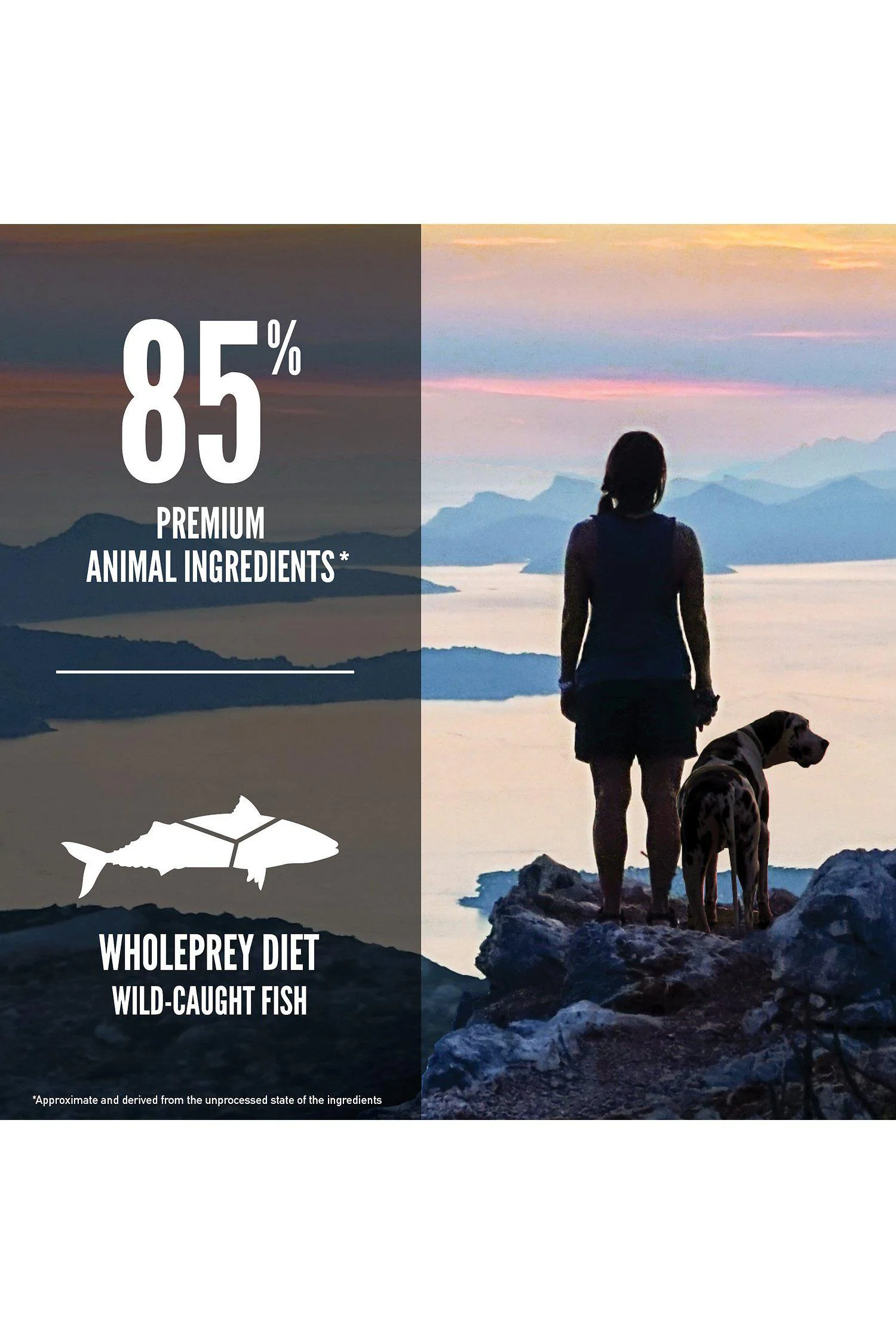 Orijen Six Fish Dry Dog Food - Image 6