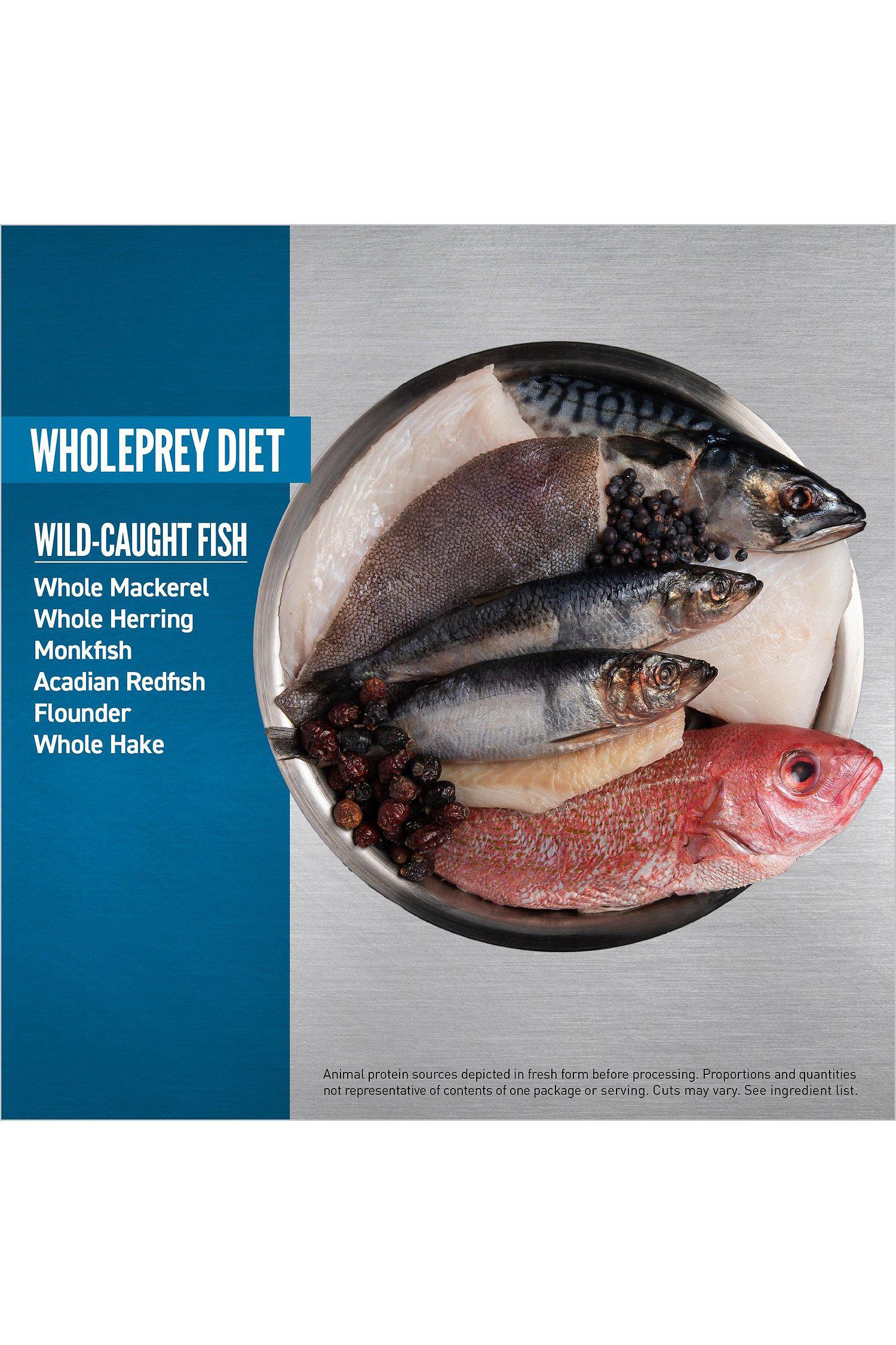Orijen Six Fish Dry Dog Food - Image 7