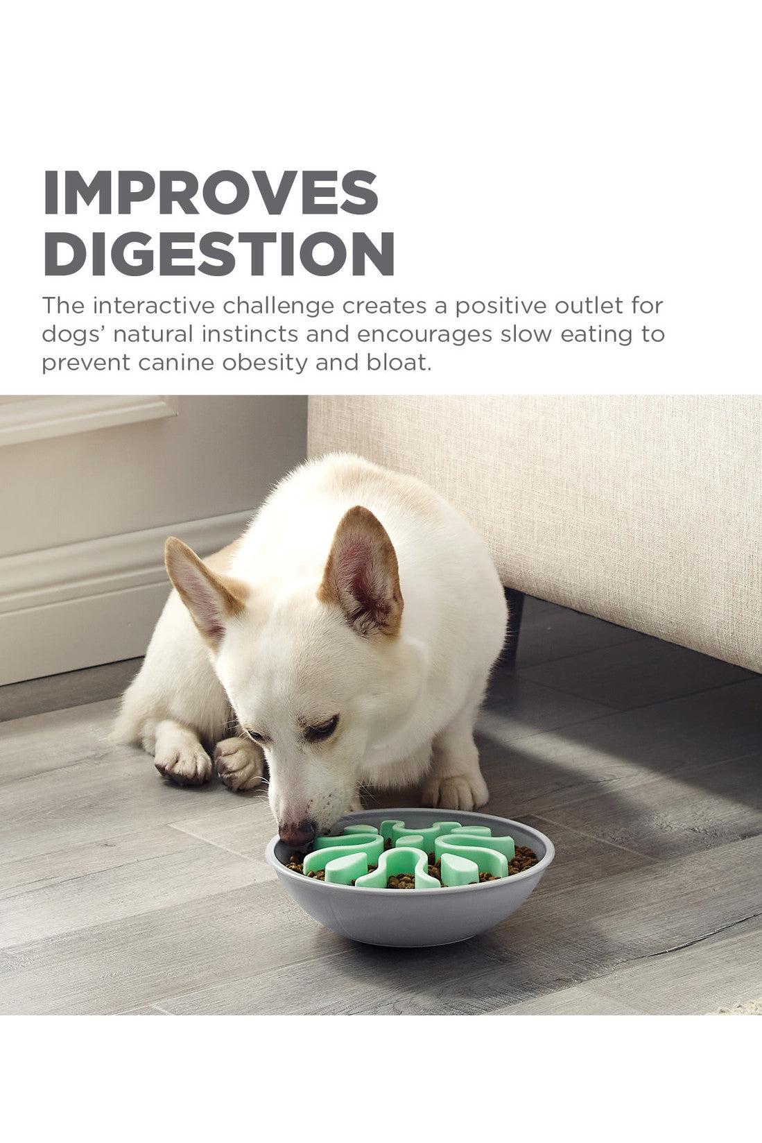 Outward Hound Fun Feeder Wobble Mint Slo Bowl - Discontinued - Image 3