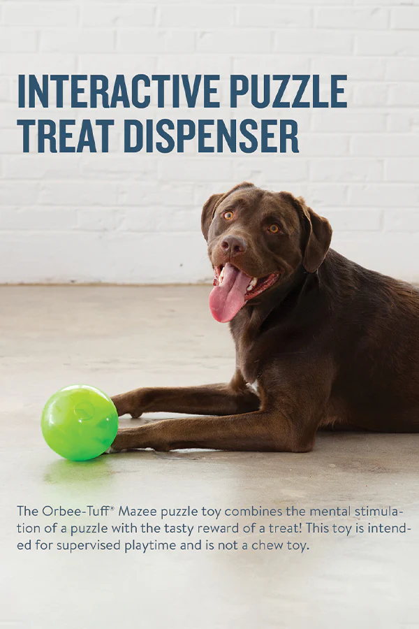 Outward Hound Orbee Mazee Puzzle Ball - Image 2