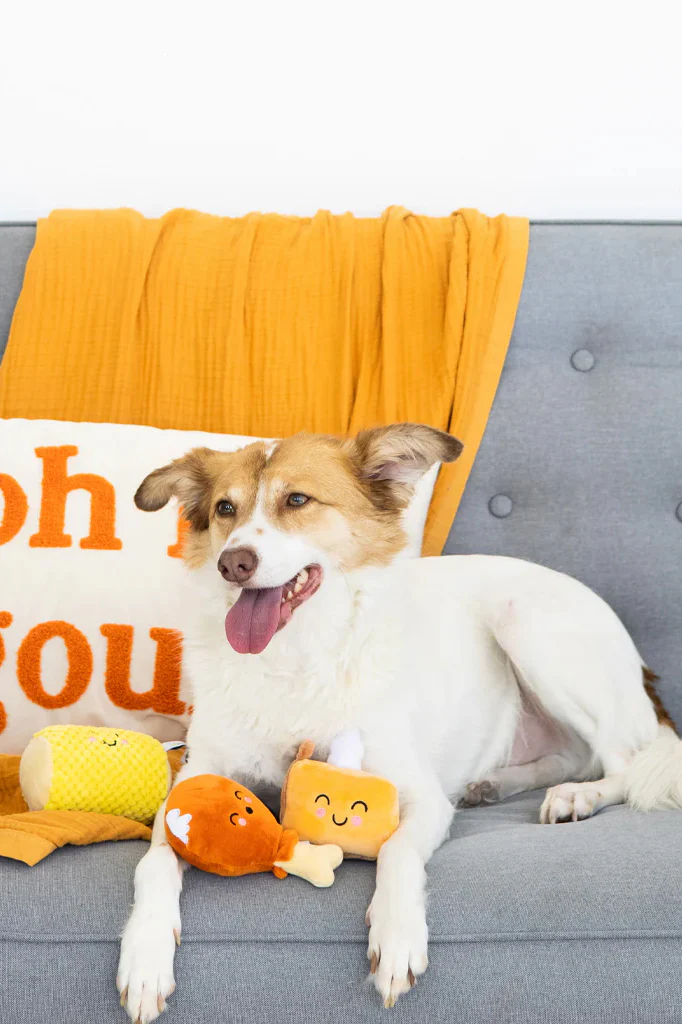 Pearhead Thanksgiving Dinner Dog Toy Set - Image 3