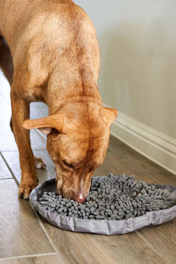 Pet Parents Forager Bowl Modern Grey Slow Feeder - Image 4