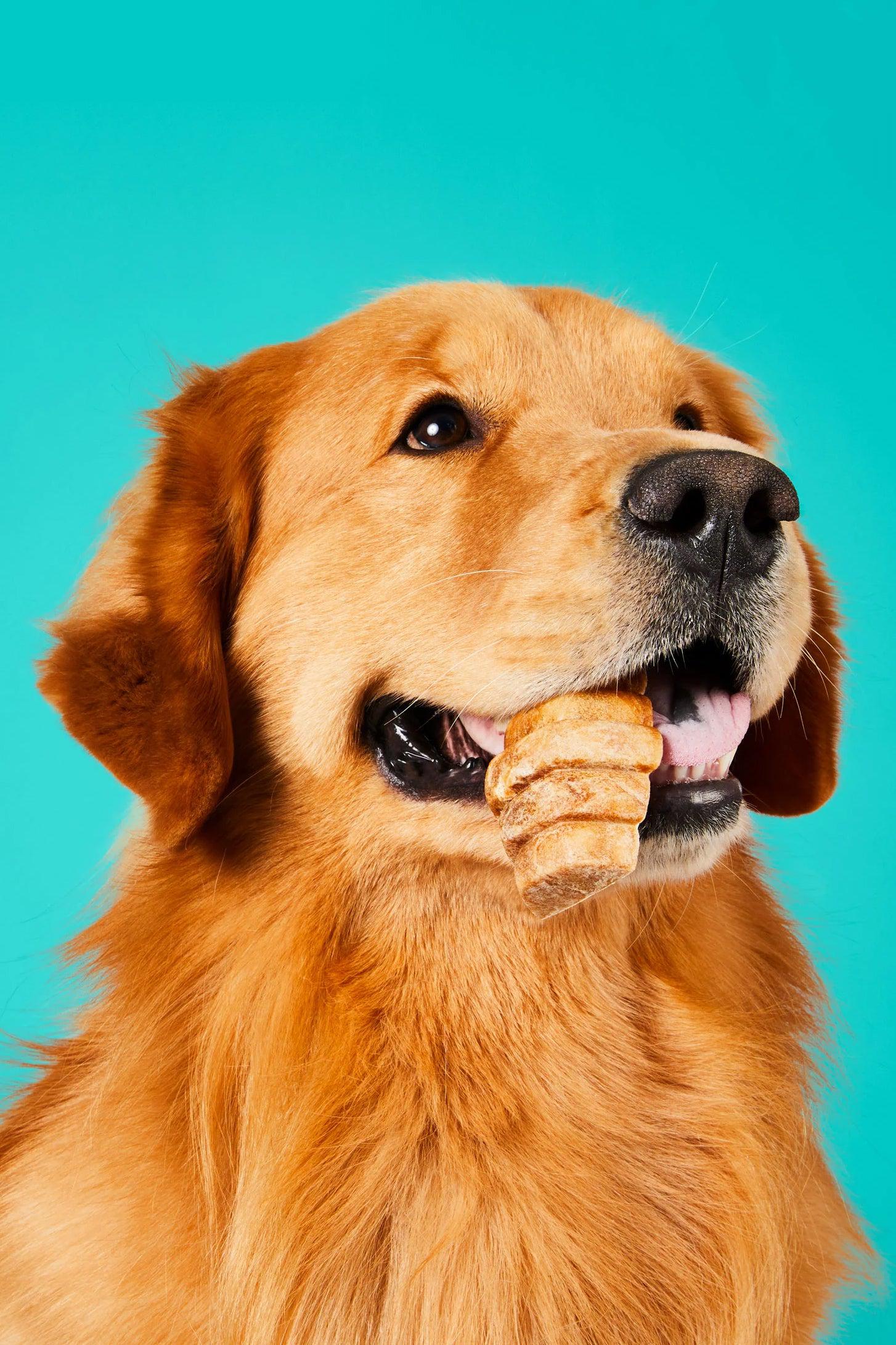 Project Hive Dental Dog Chews for Dogs - Image 5