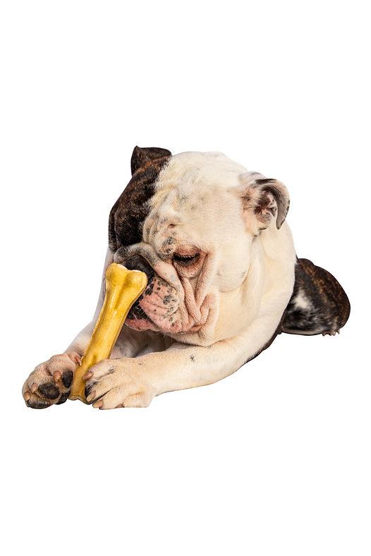 QT Collagen Bone Dog Chew - Image 2