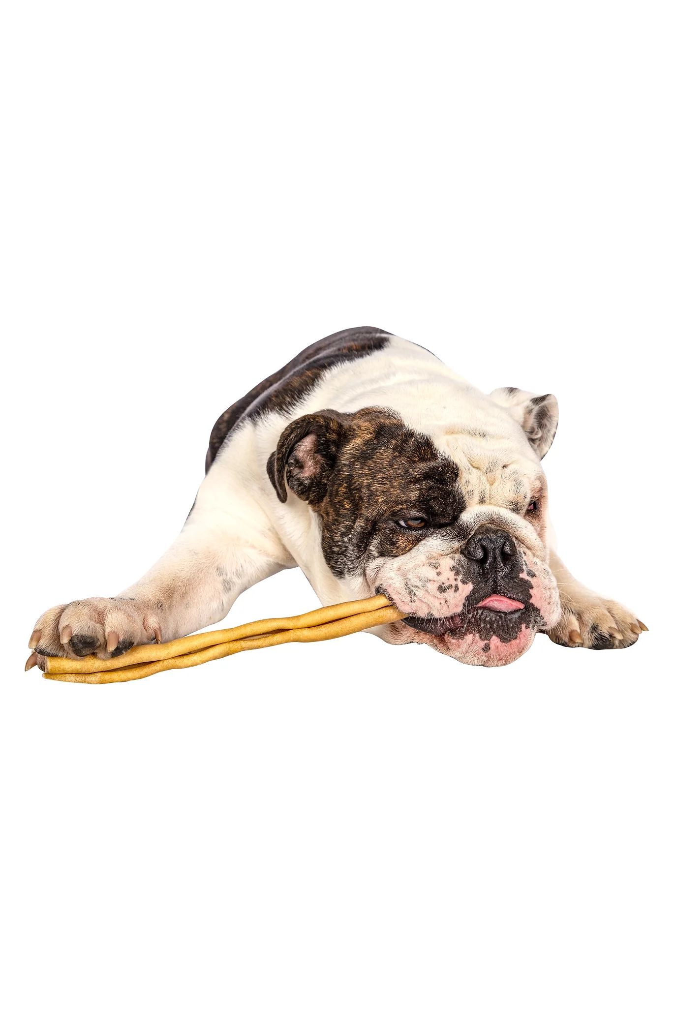 QT Dog Collagen Dog Chew - Image 2